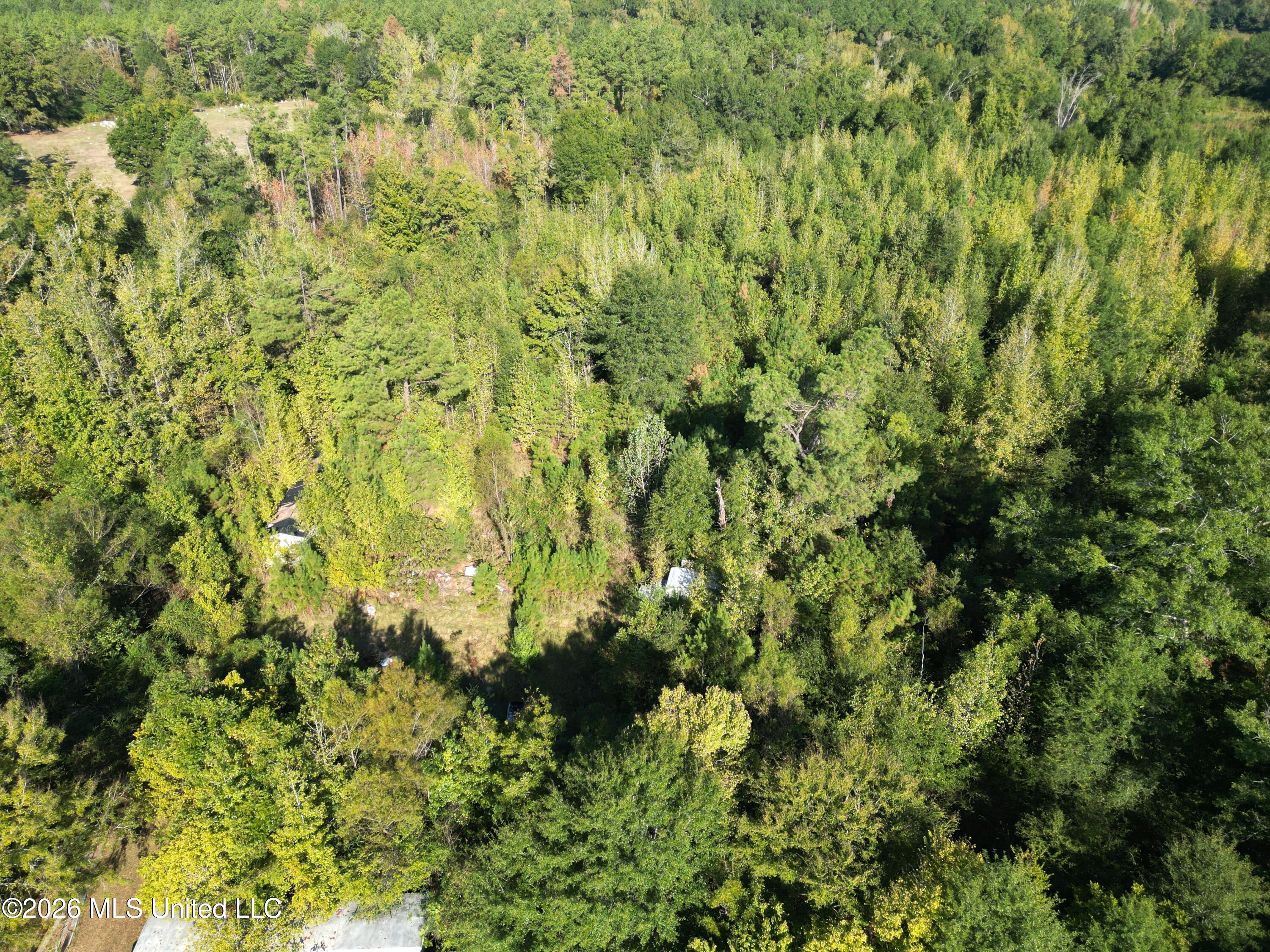14191 Highway 51 Property Photo 27