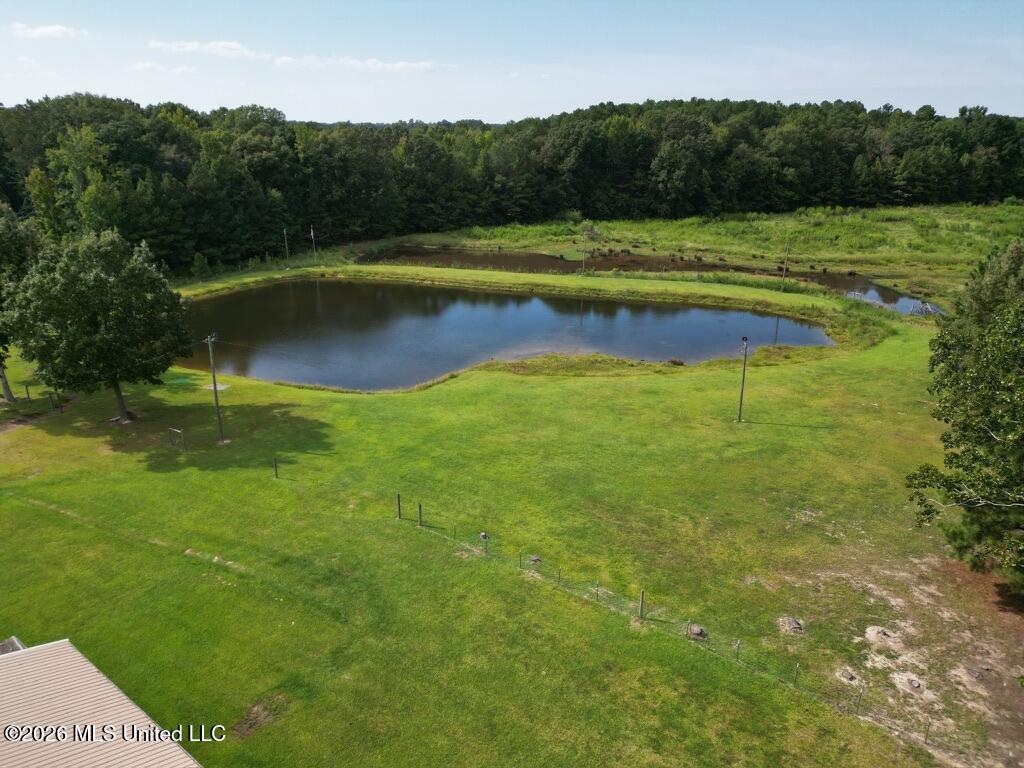 1077 Evergreen Road Property Photo 4