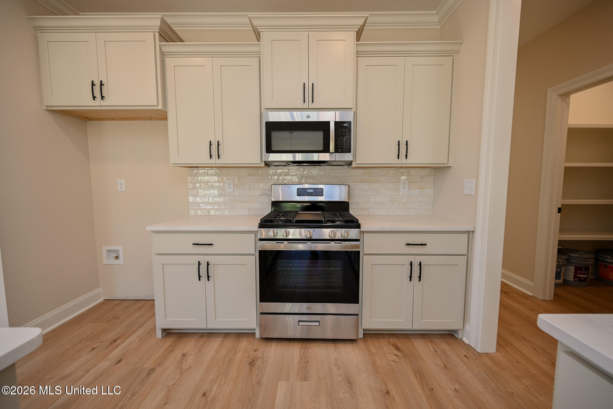 2960 Molly Cove Property Photo 11