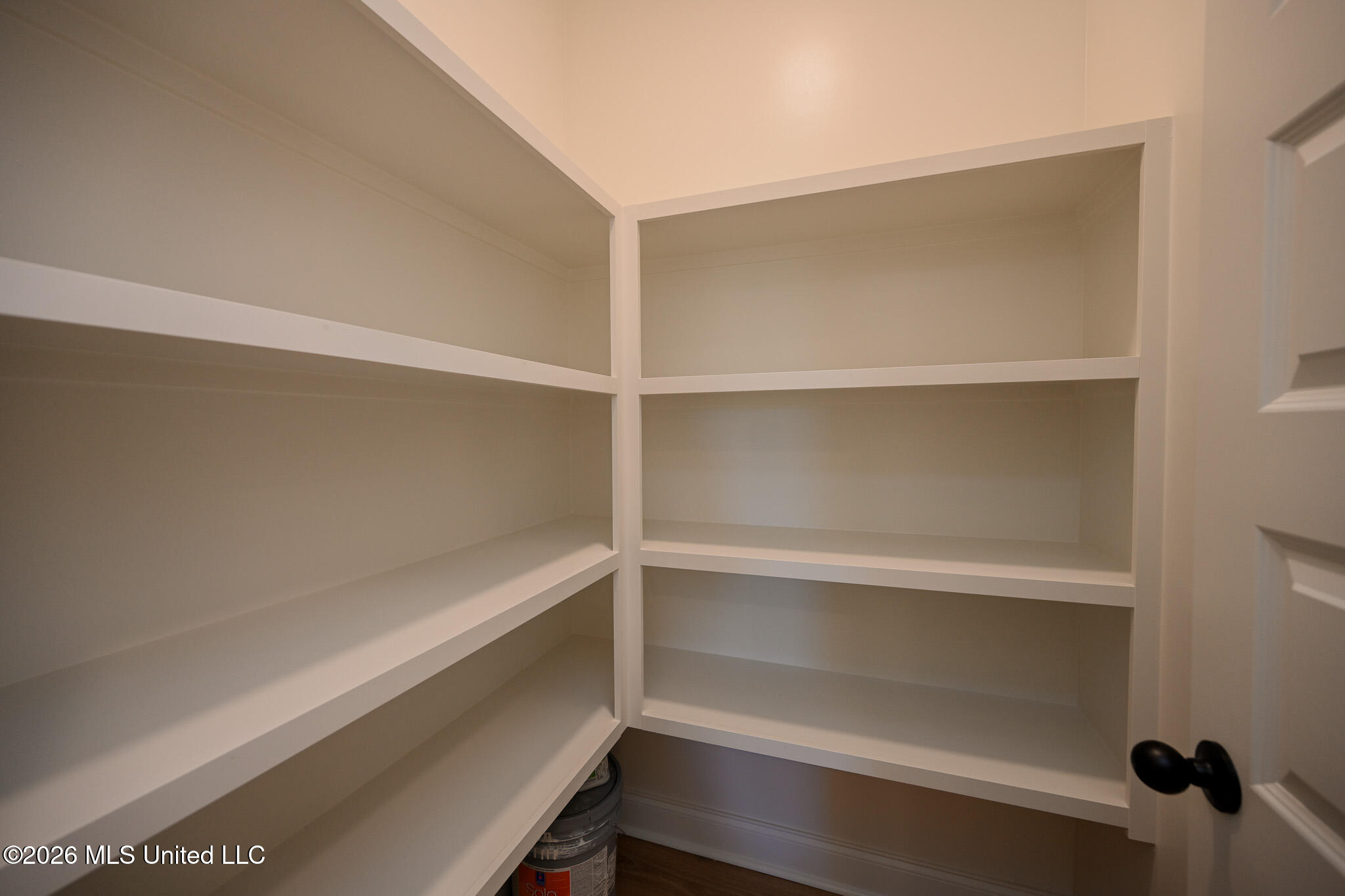 2960 Molly Cove Property Photo 15