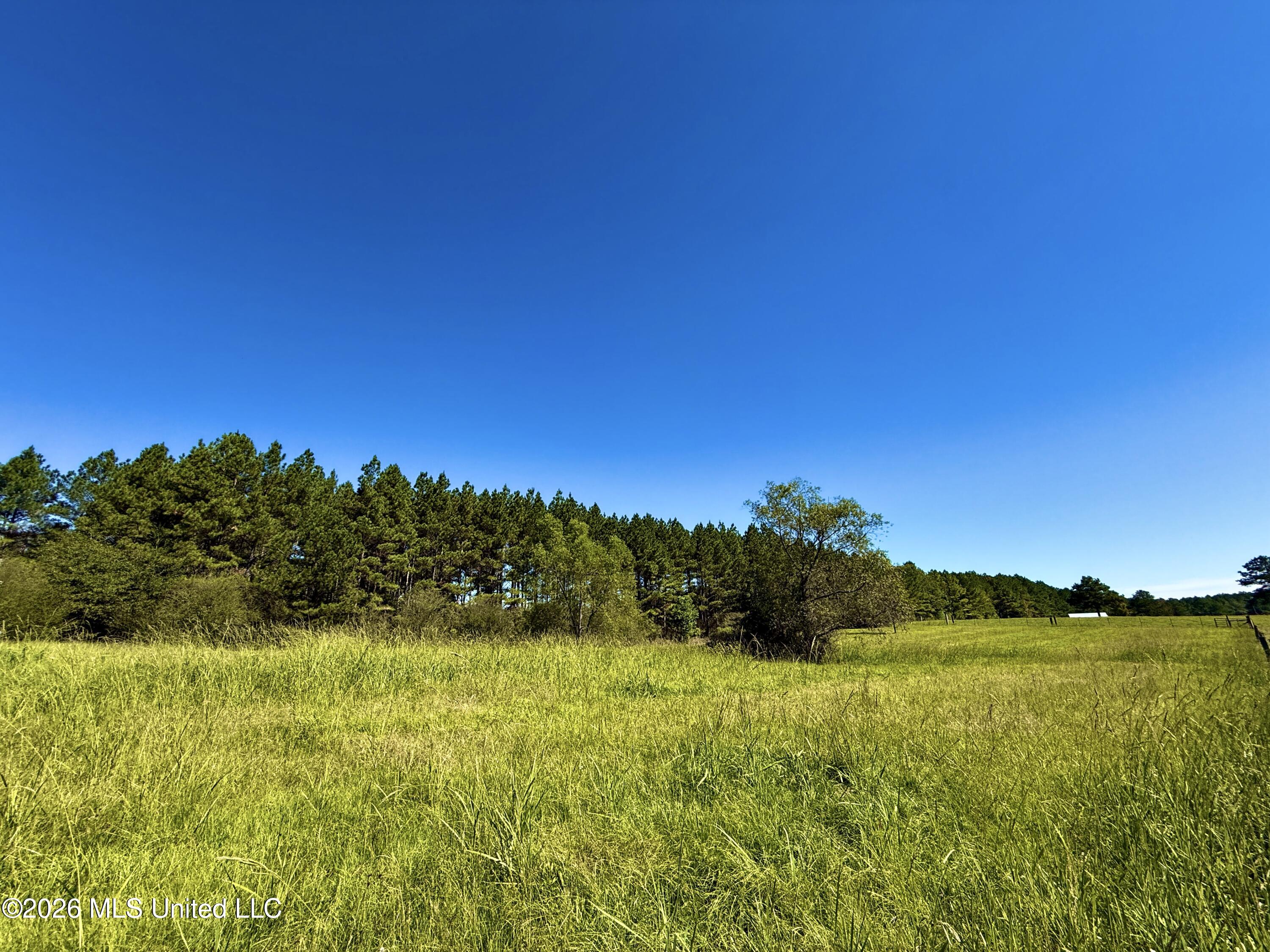 206 Barker Road Property Photo 1