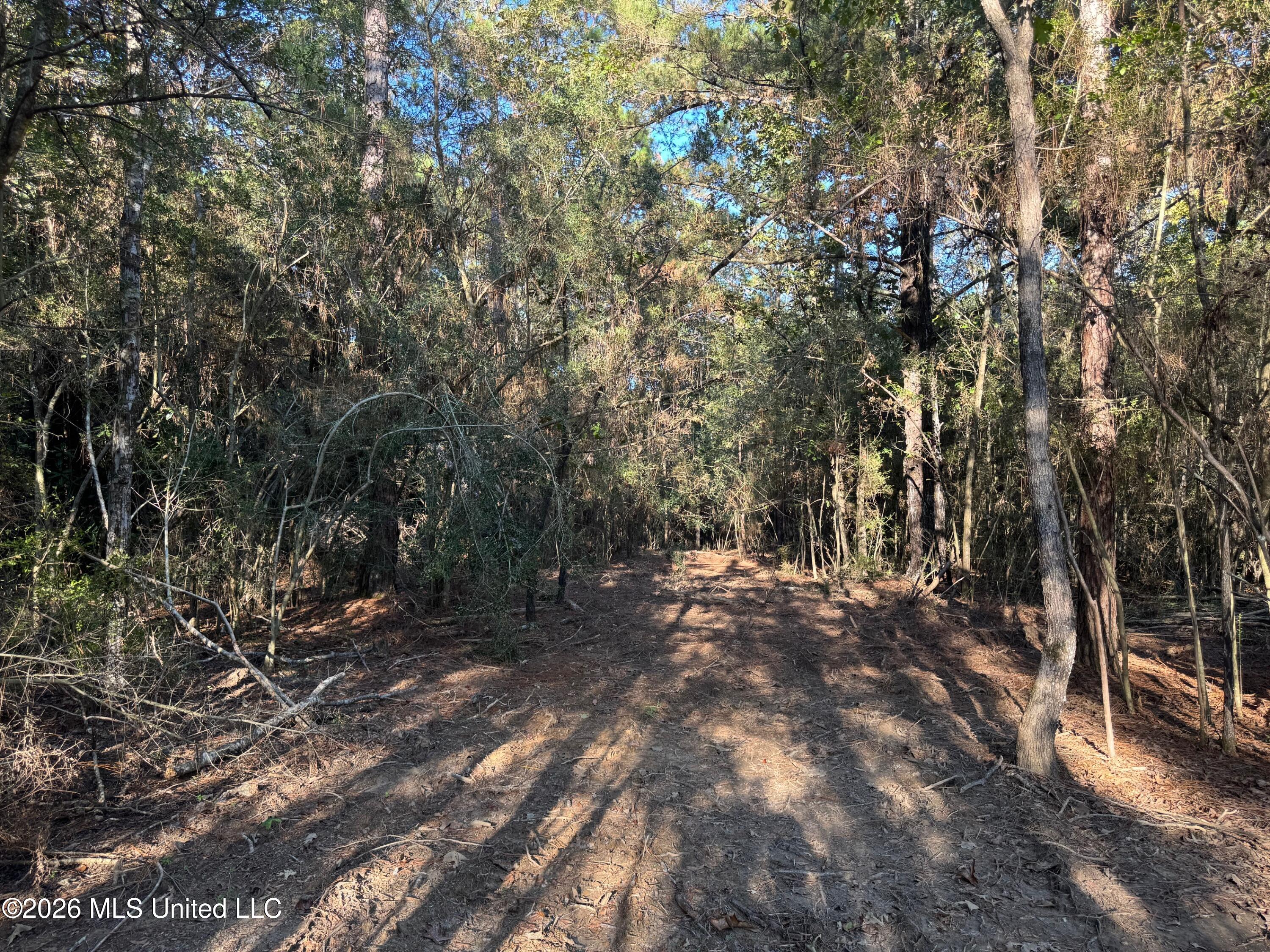 Xxx Emma Kelly Road Property Photo 6