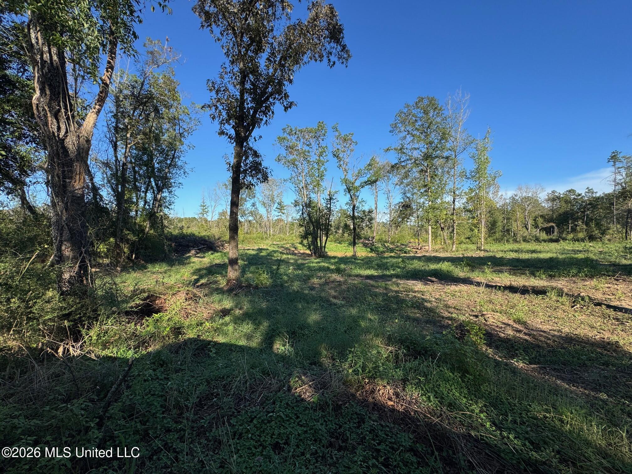 Xxx Emma Kelly Road Property Photo 17