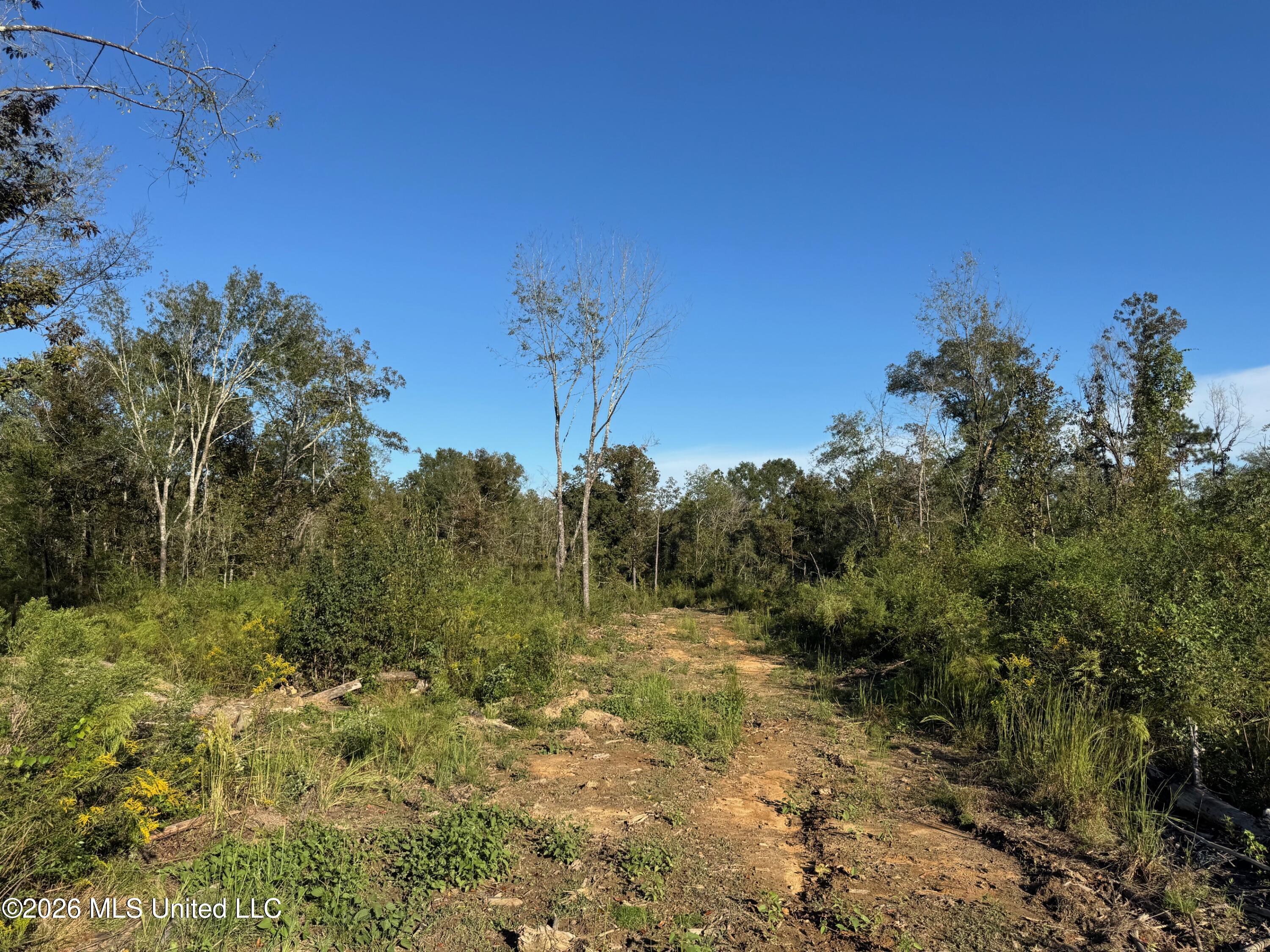 Xxx Emma Kelly Road Property Photo 19