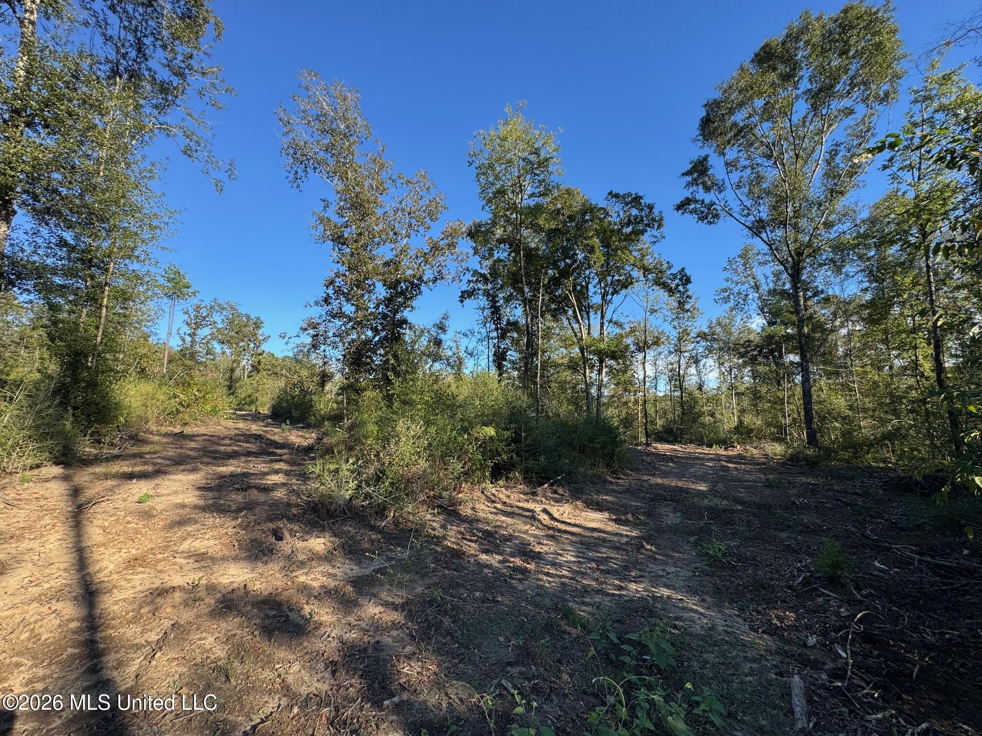 Xxx Emma Kelly Road Property Photo 22