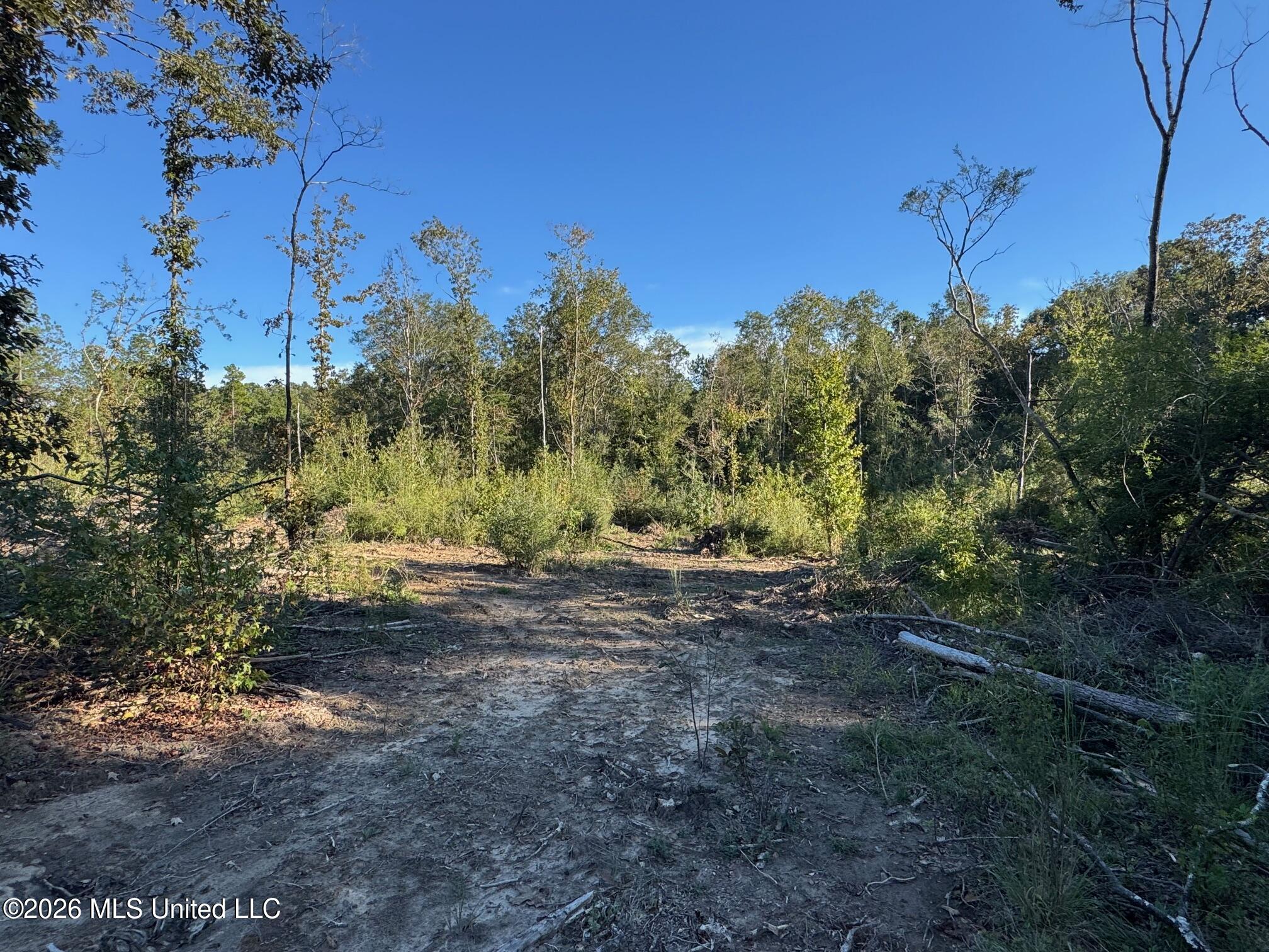 Xxx Emma Kelly Road Property Photo 25