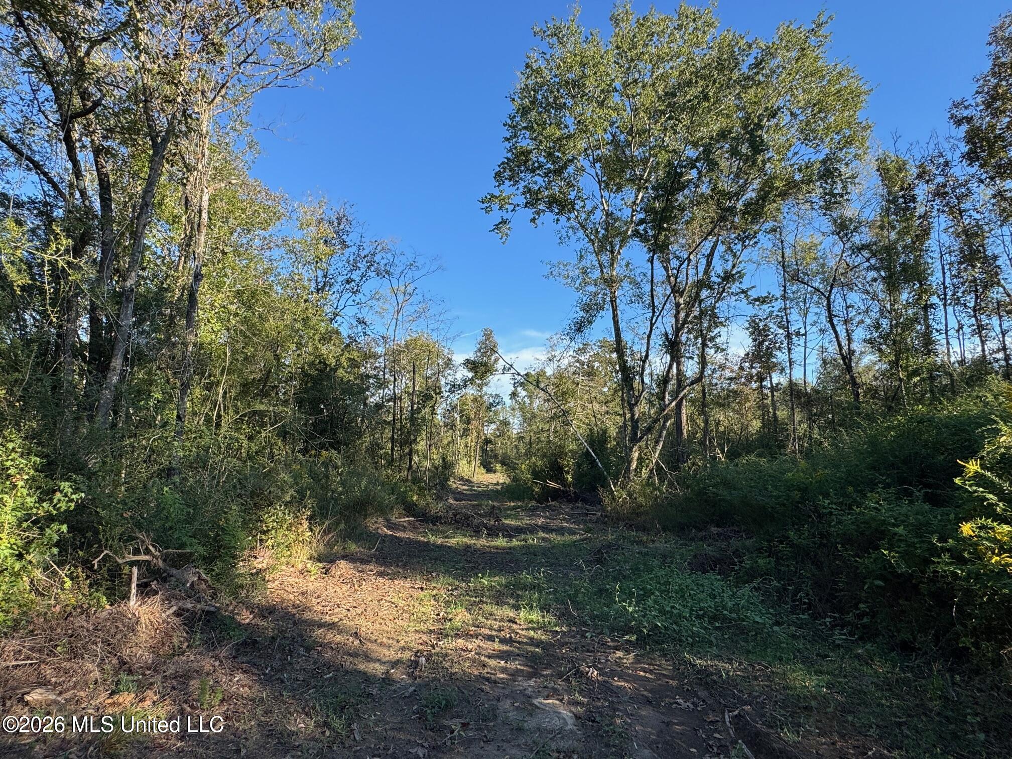 Xxx Emma Kelly Road Property Photo 29