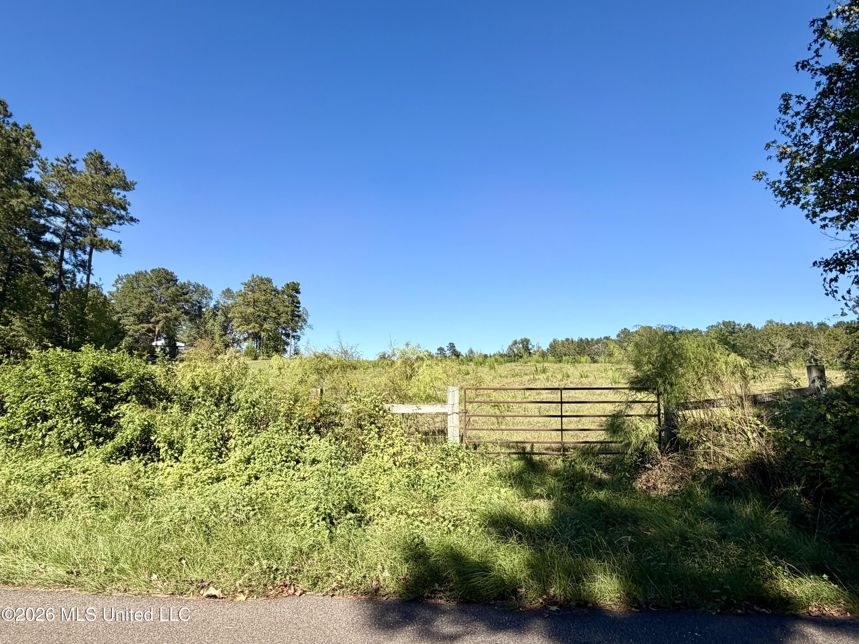 2416 Lake Lincoln Drive Property Photo 14