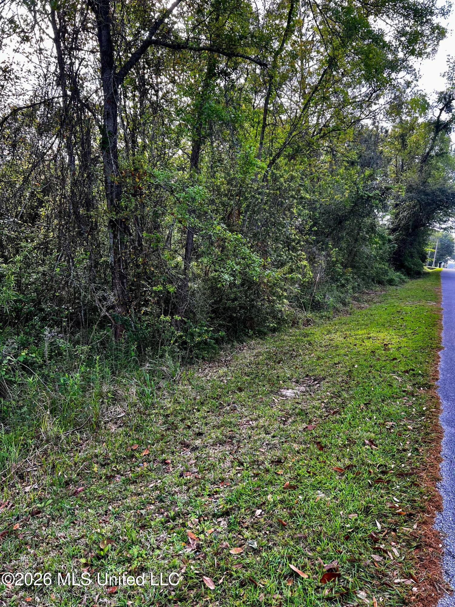 Pine Ridge Drive Property Photo 2