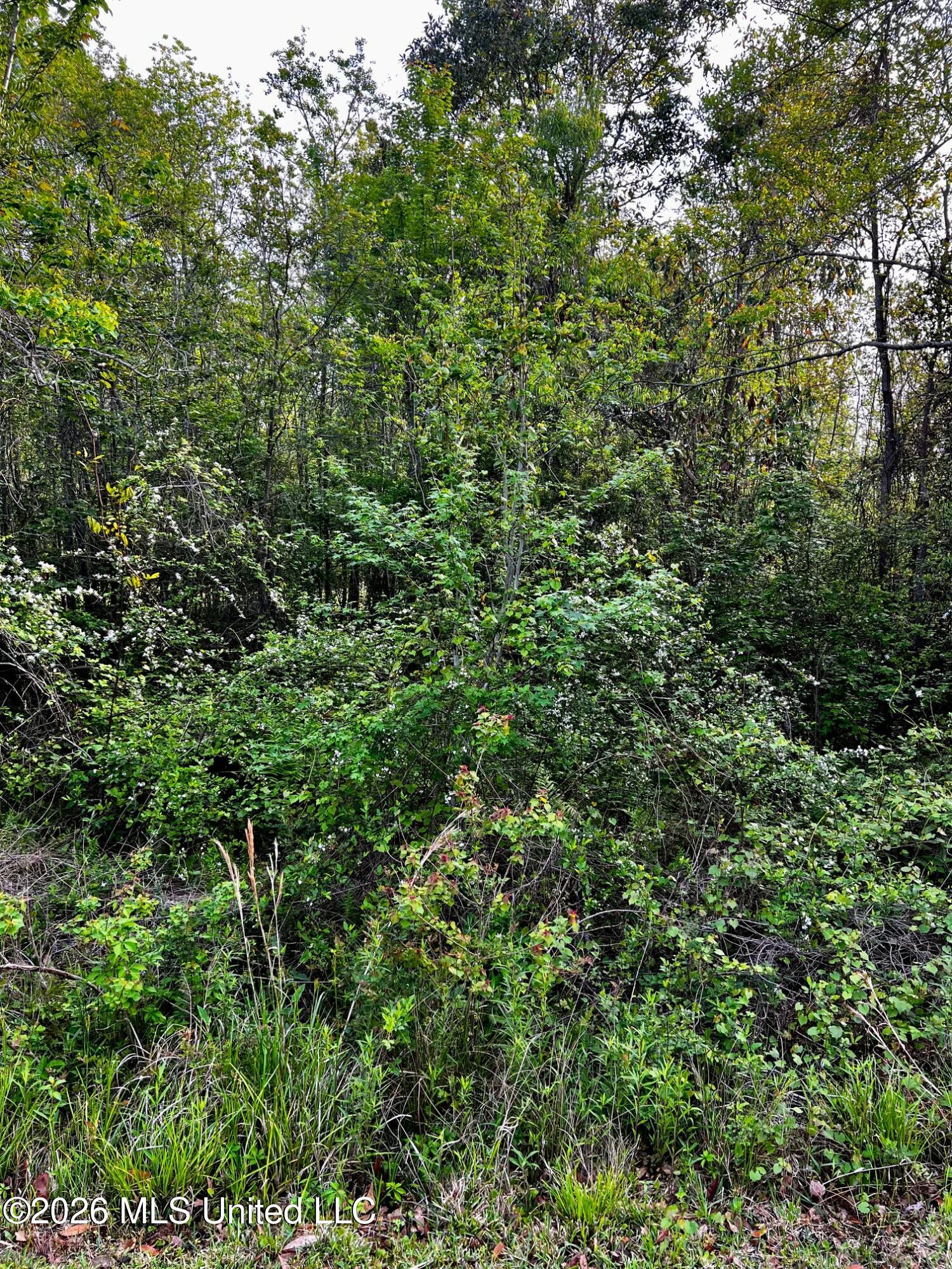 Pine Ridge Drive Property Photo 3