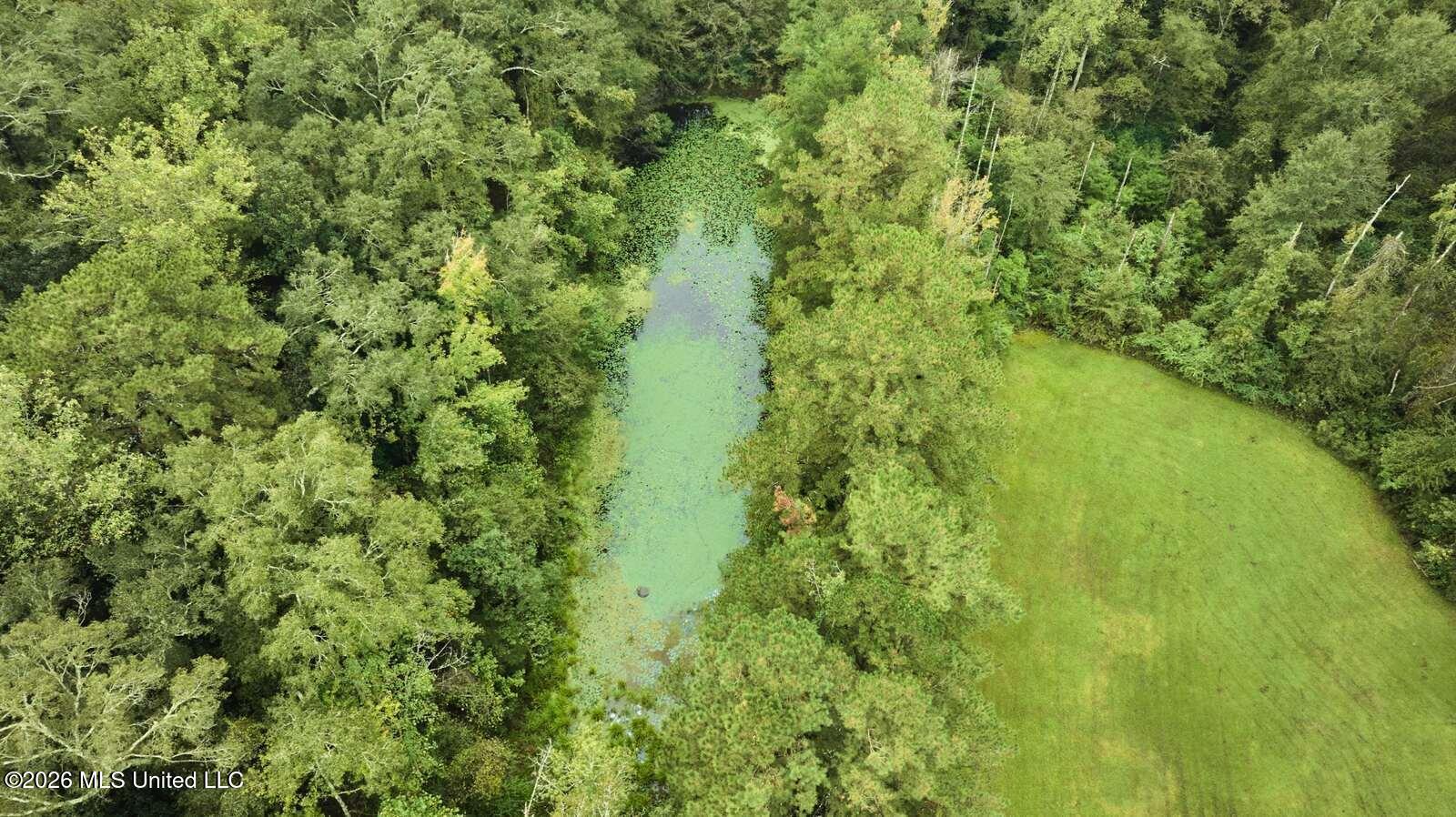 1004 Sunshine Mountain Lane Property Photo 2