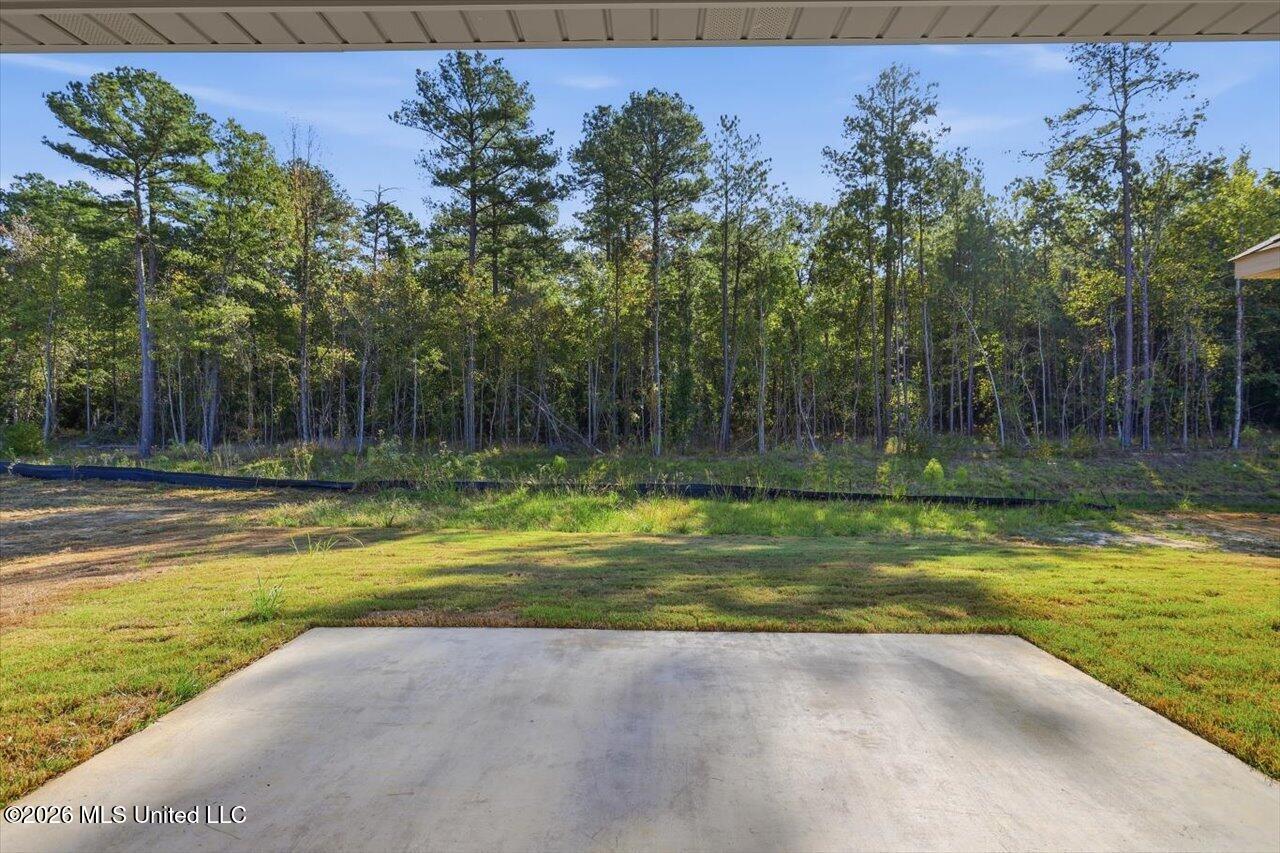219 Anderson Oaks Drive Property Photo 29