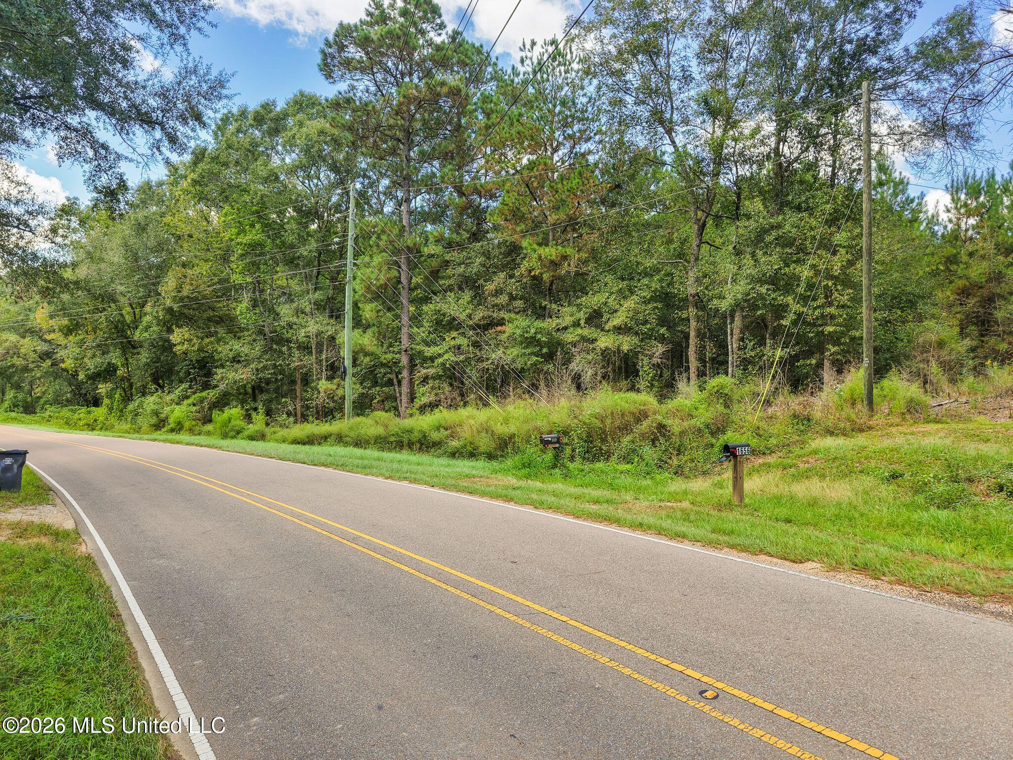 0000 Purvis To Baxterville Road Property Photo 3