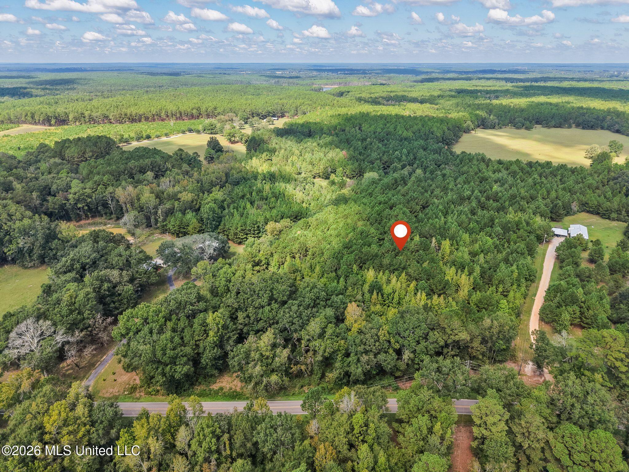 0000 Purvis To Baxterville Road Property Photo 4