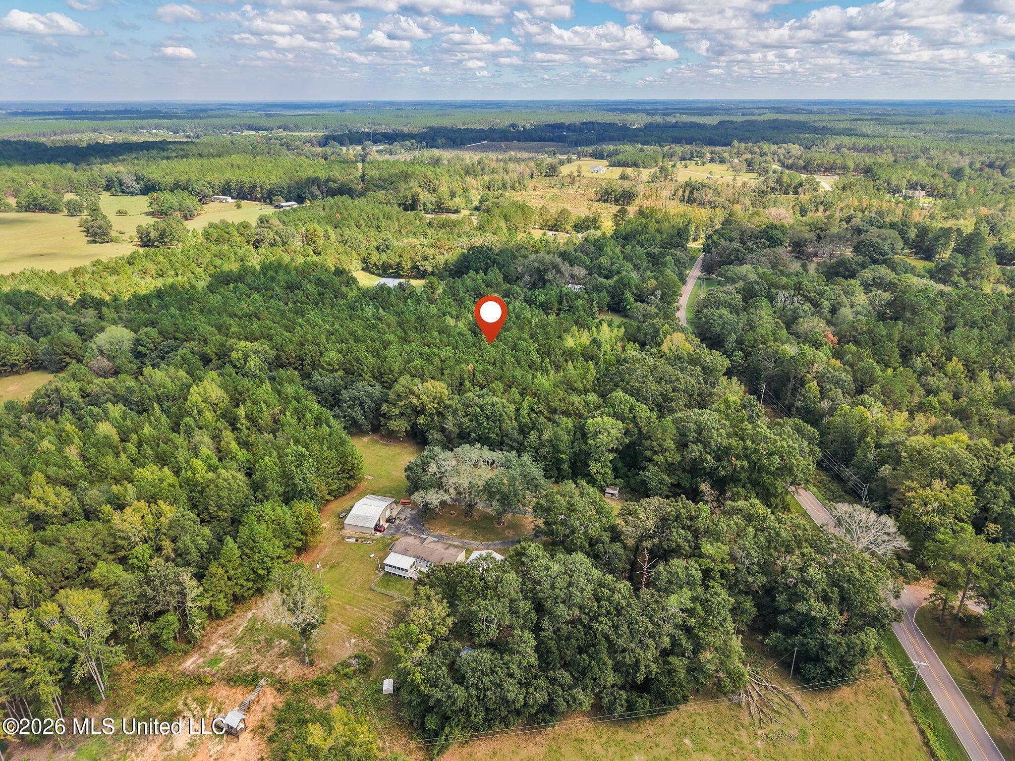 0000 Purvis To Baxterville Road Property Photo 6