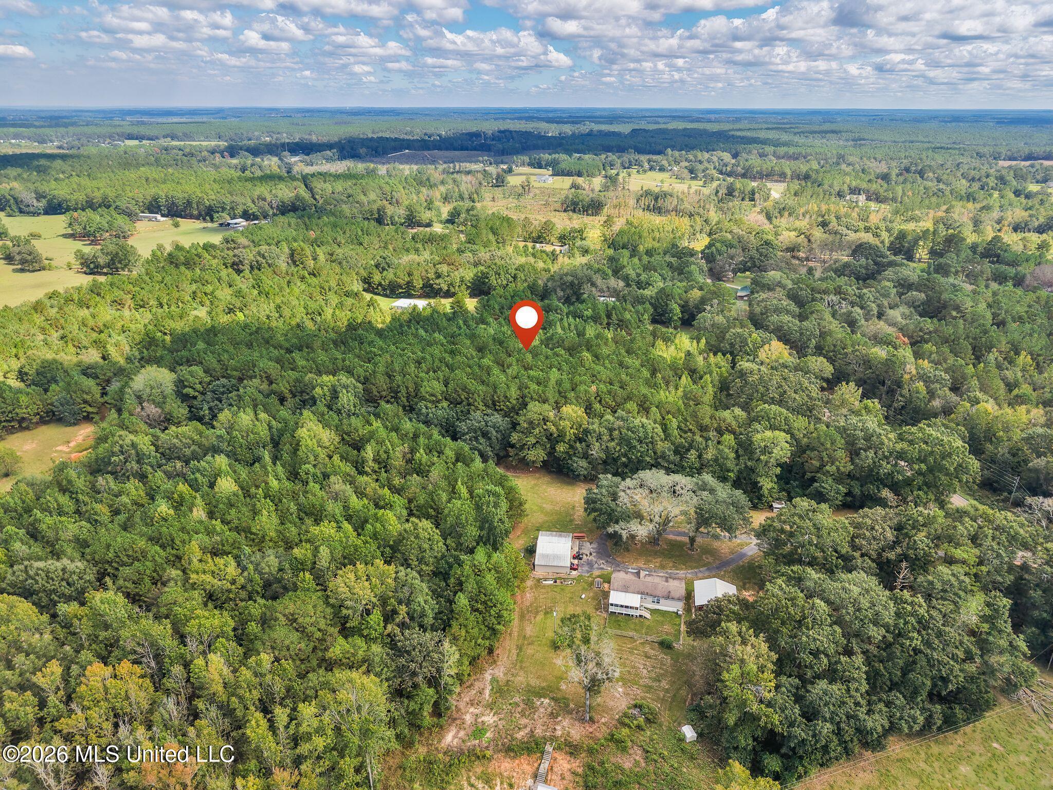 0000 Purvis To Baxterville Road Property Photo 7