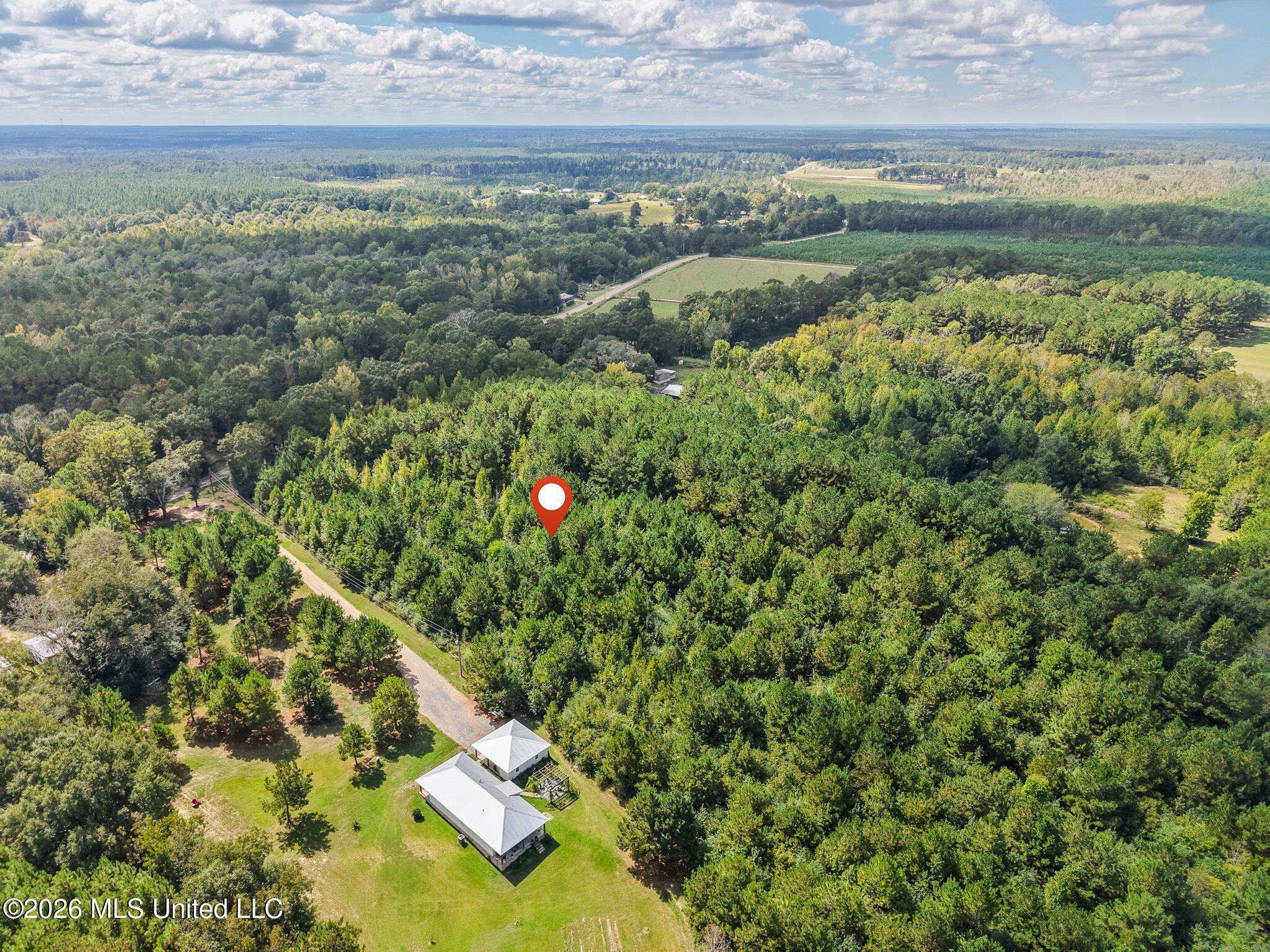 0000 Purvis To Baxterville Road Property Photo 10