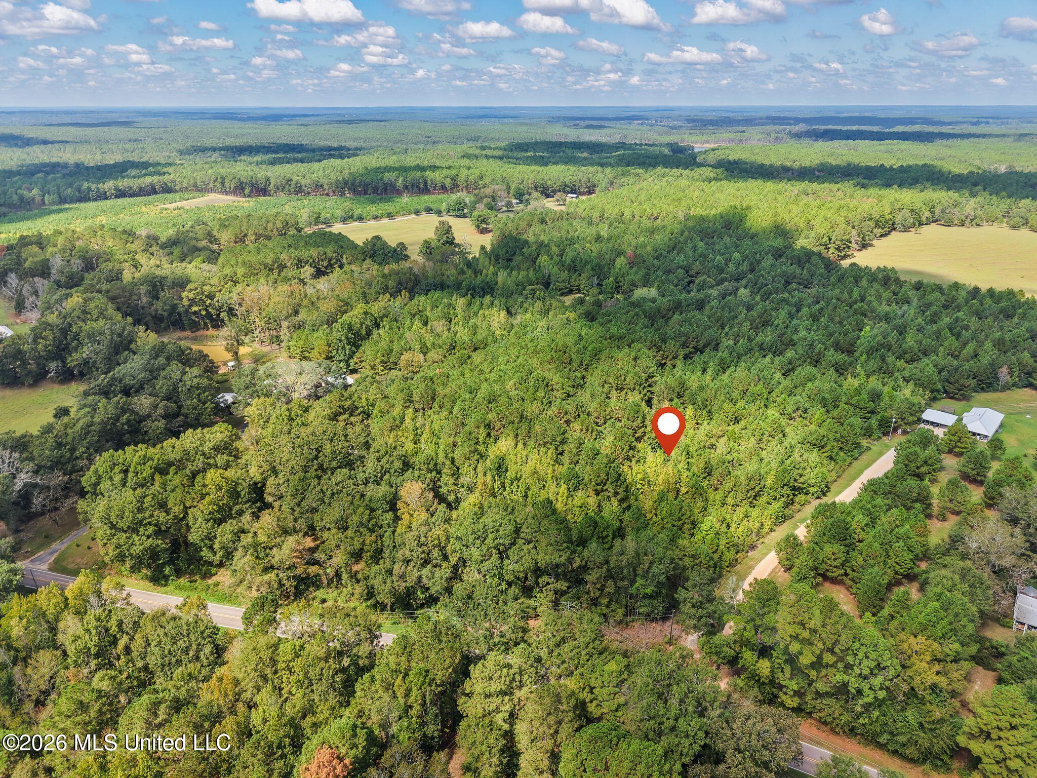 0000 Purvis To Baxterville Road Property Photo 12