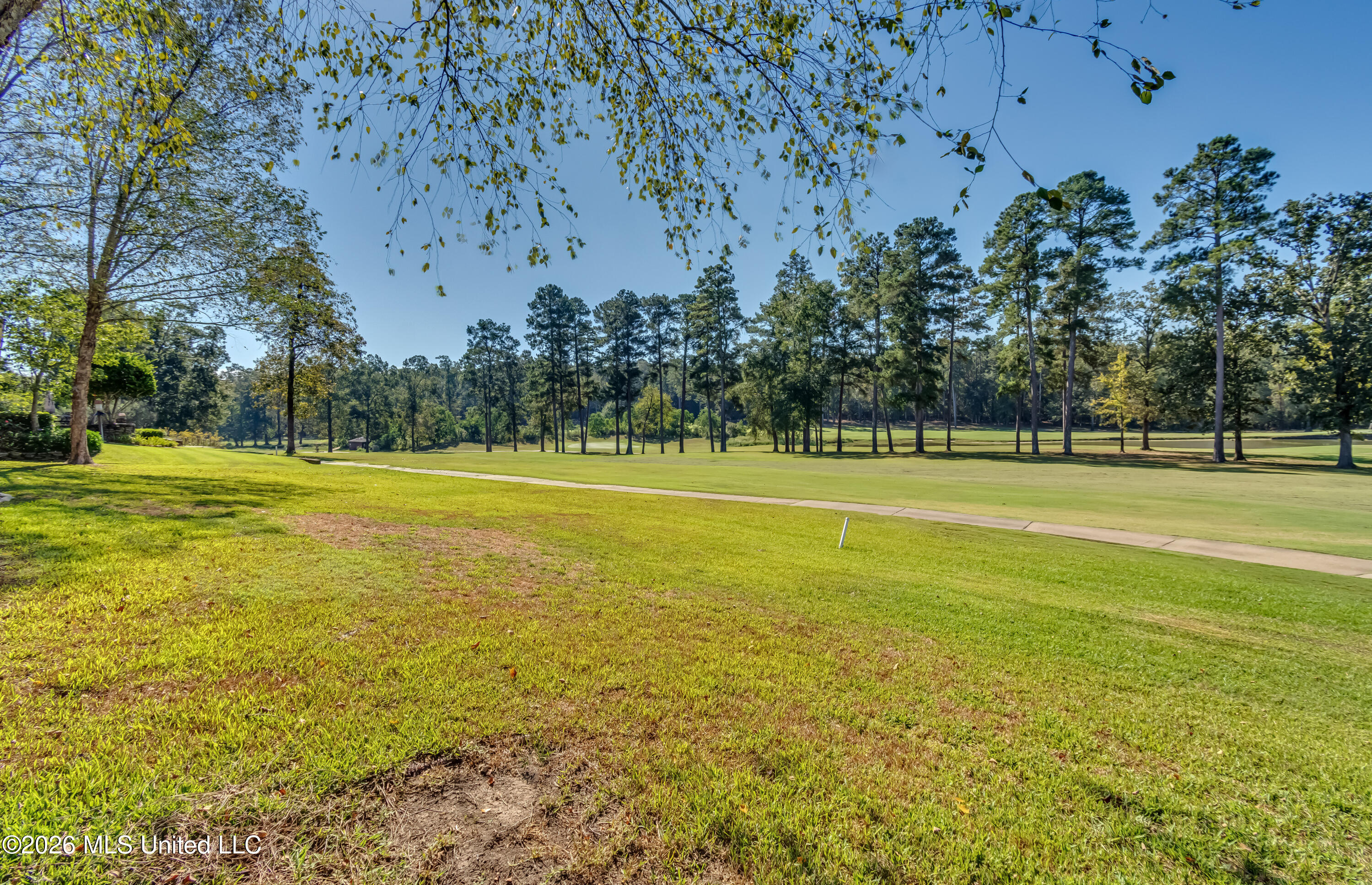 118 Woodlands Glen Circle Property Photo 11