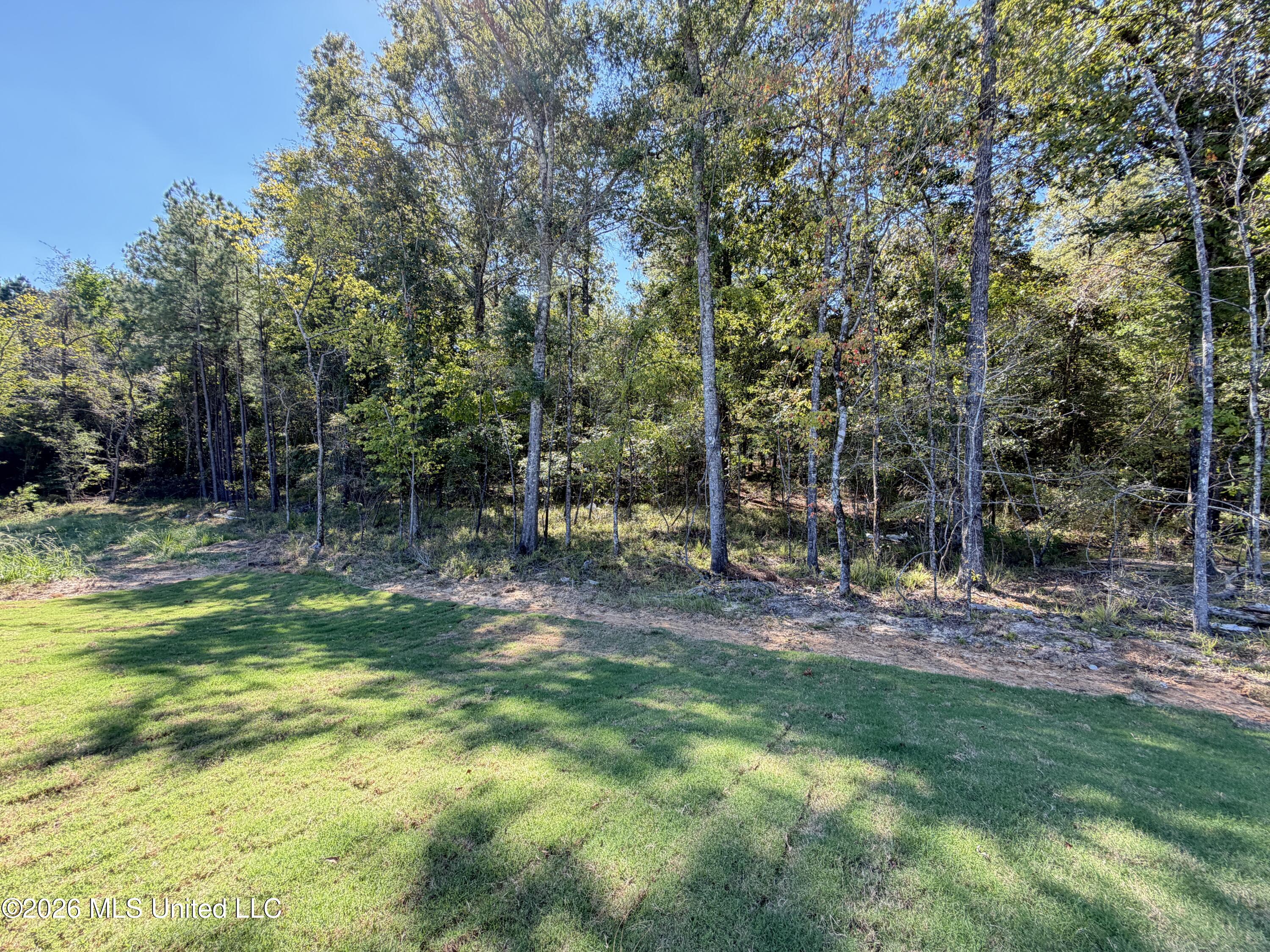 222 Anderson Oaks Drive Property Photo 30