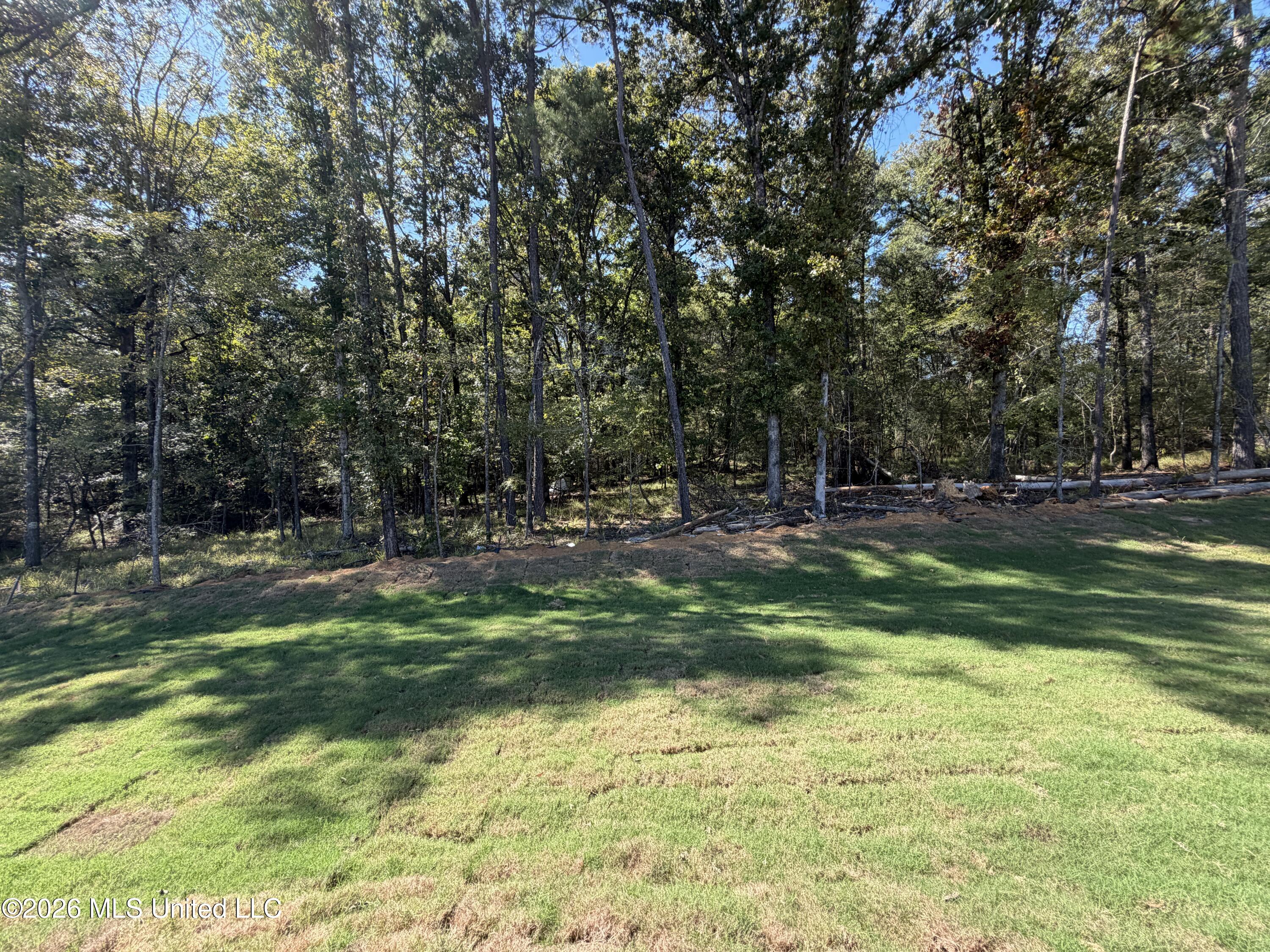 220 Anderson Oaks Drive Property Photo 28