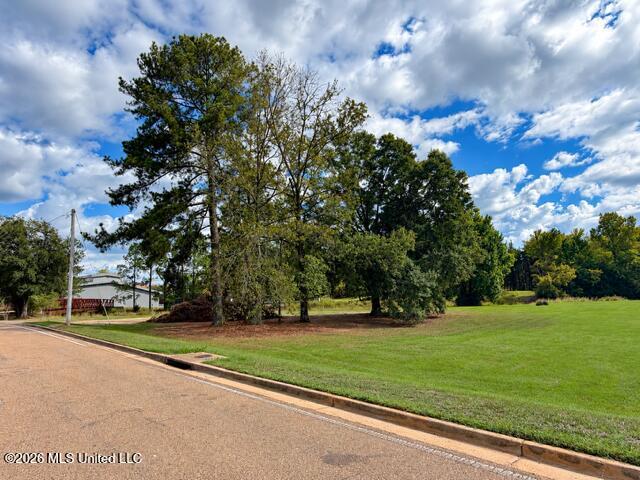 Hwy 80 Property Photo 3