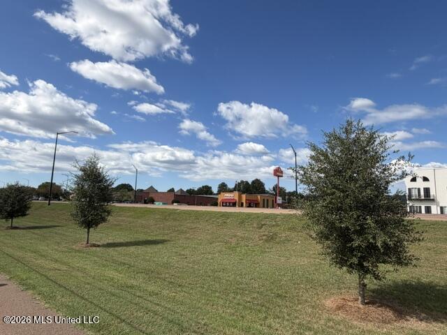 Hwy 80 Property Photo 9