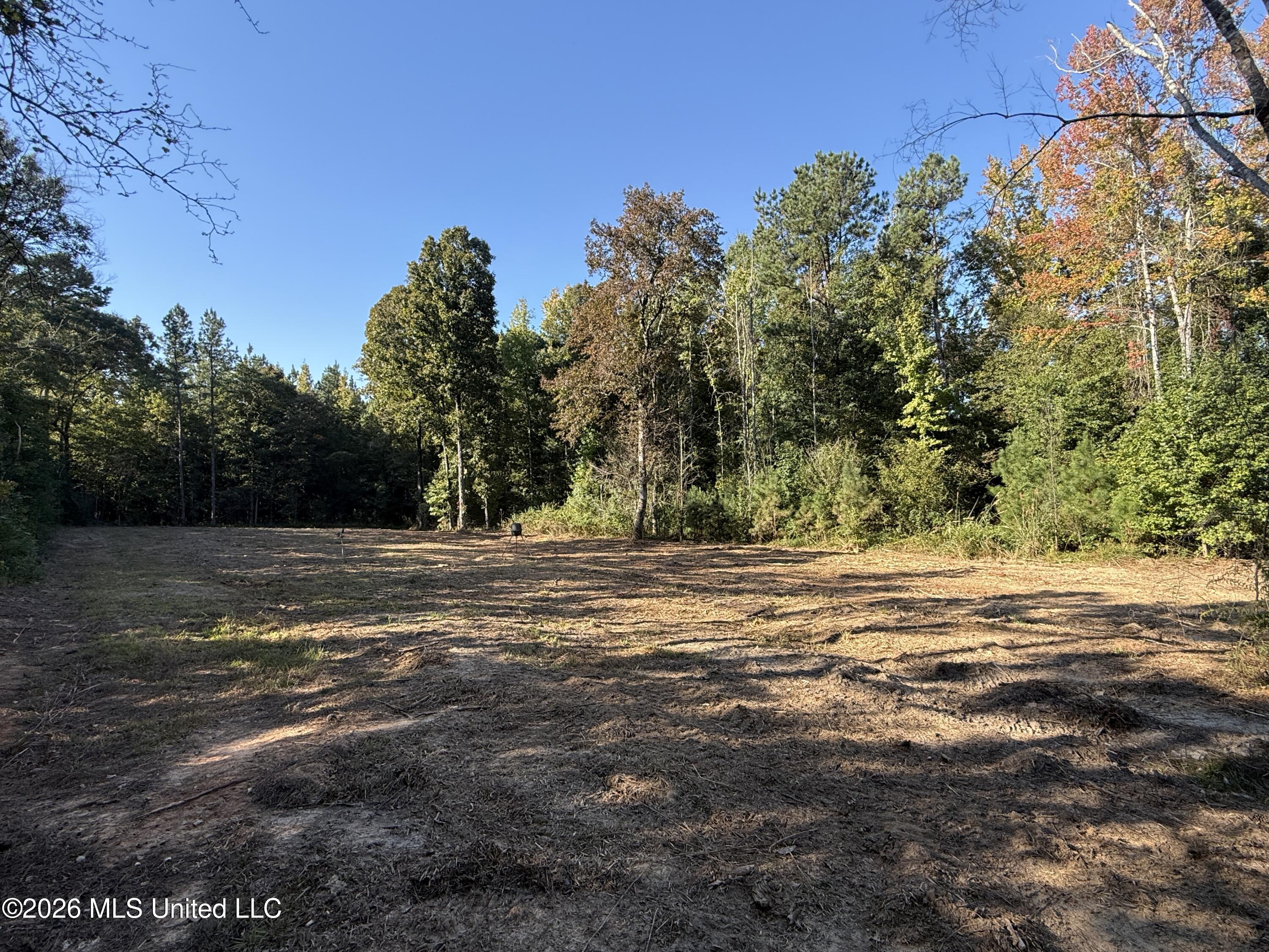 Bluff Springs Road Property Photo 1