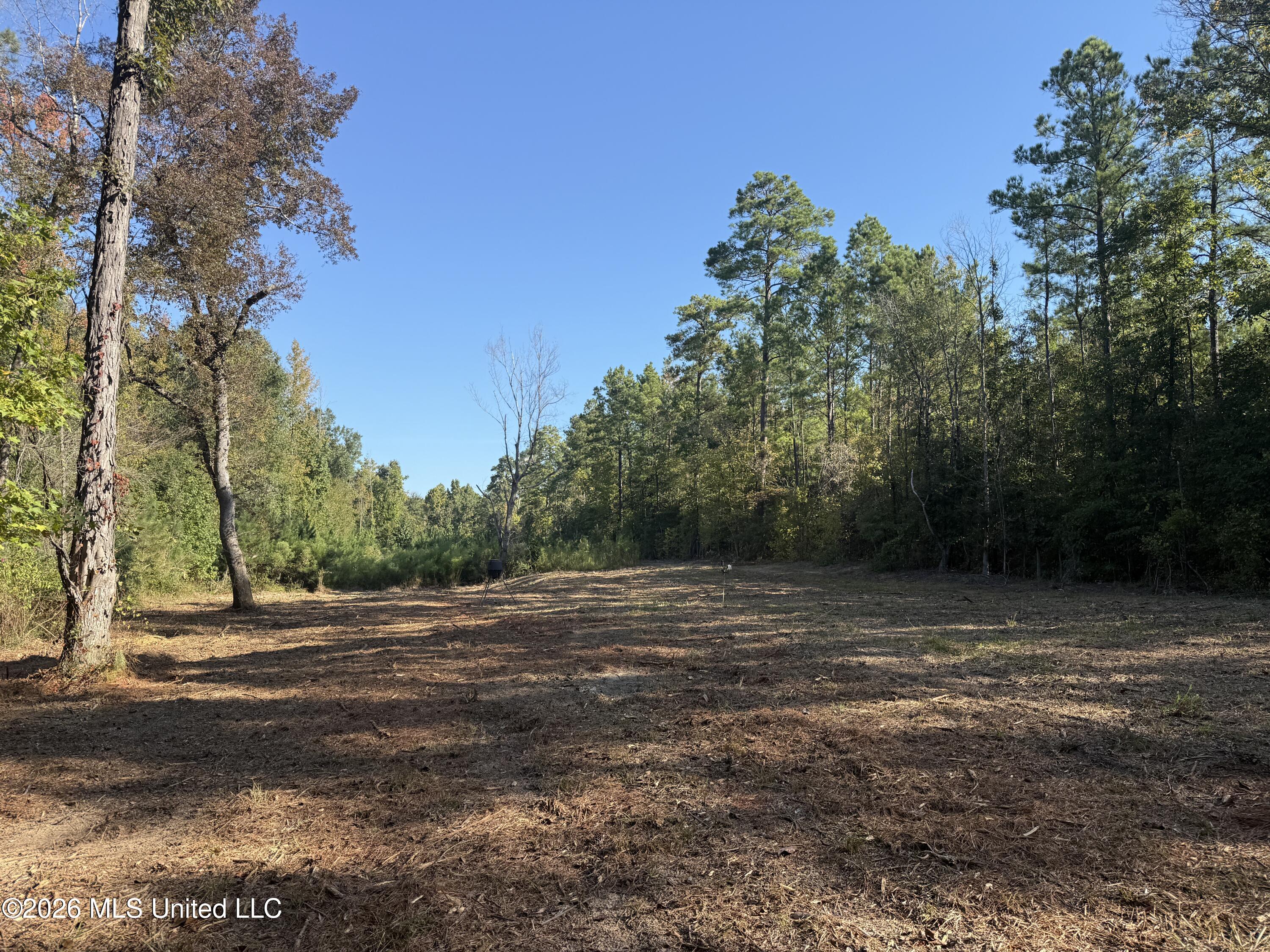 Bluff Springs Road Property Photo 2