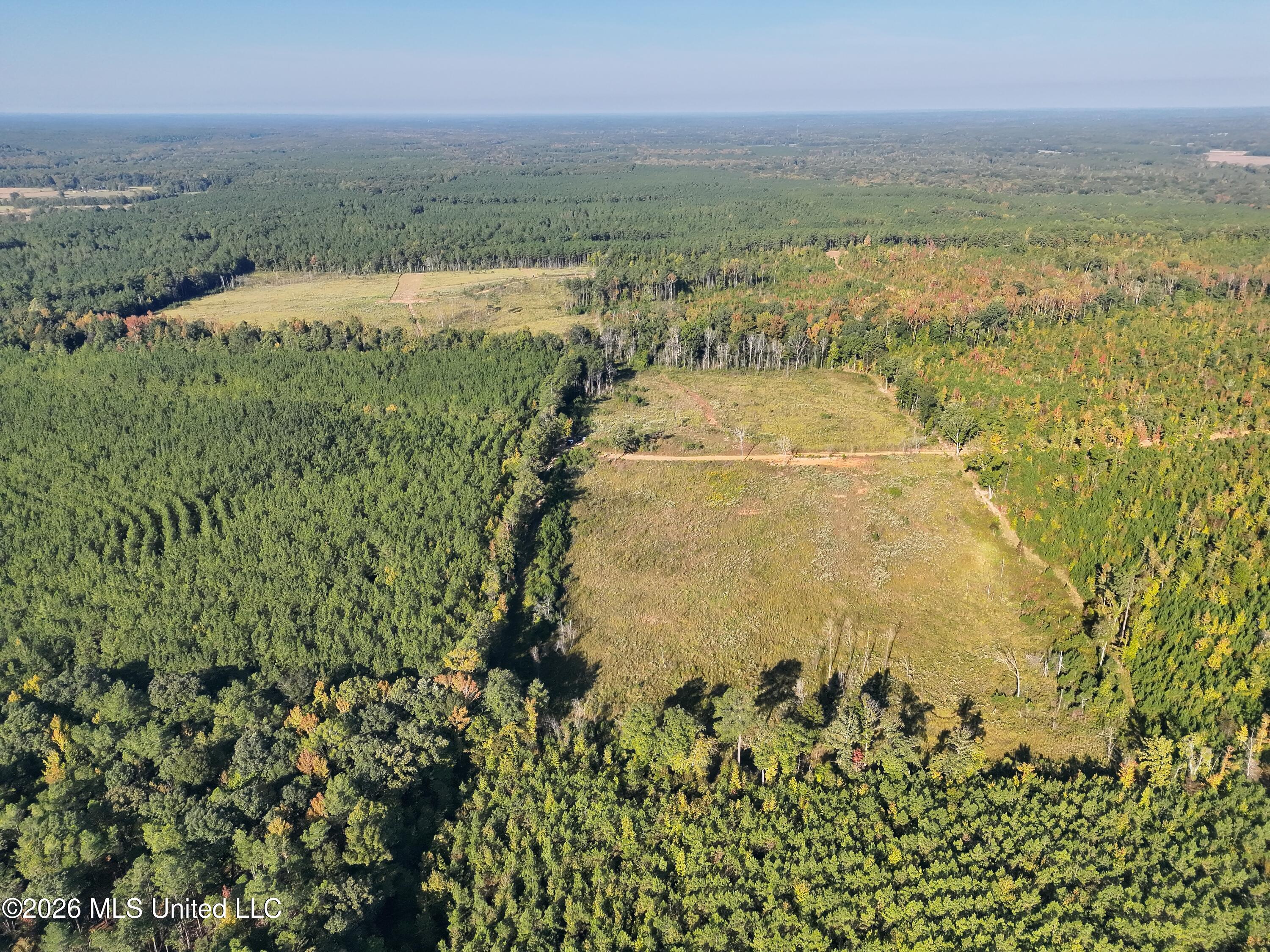 Bluff Springs Road Property Photo 3