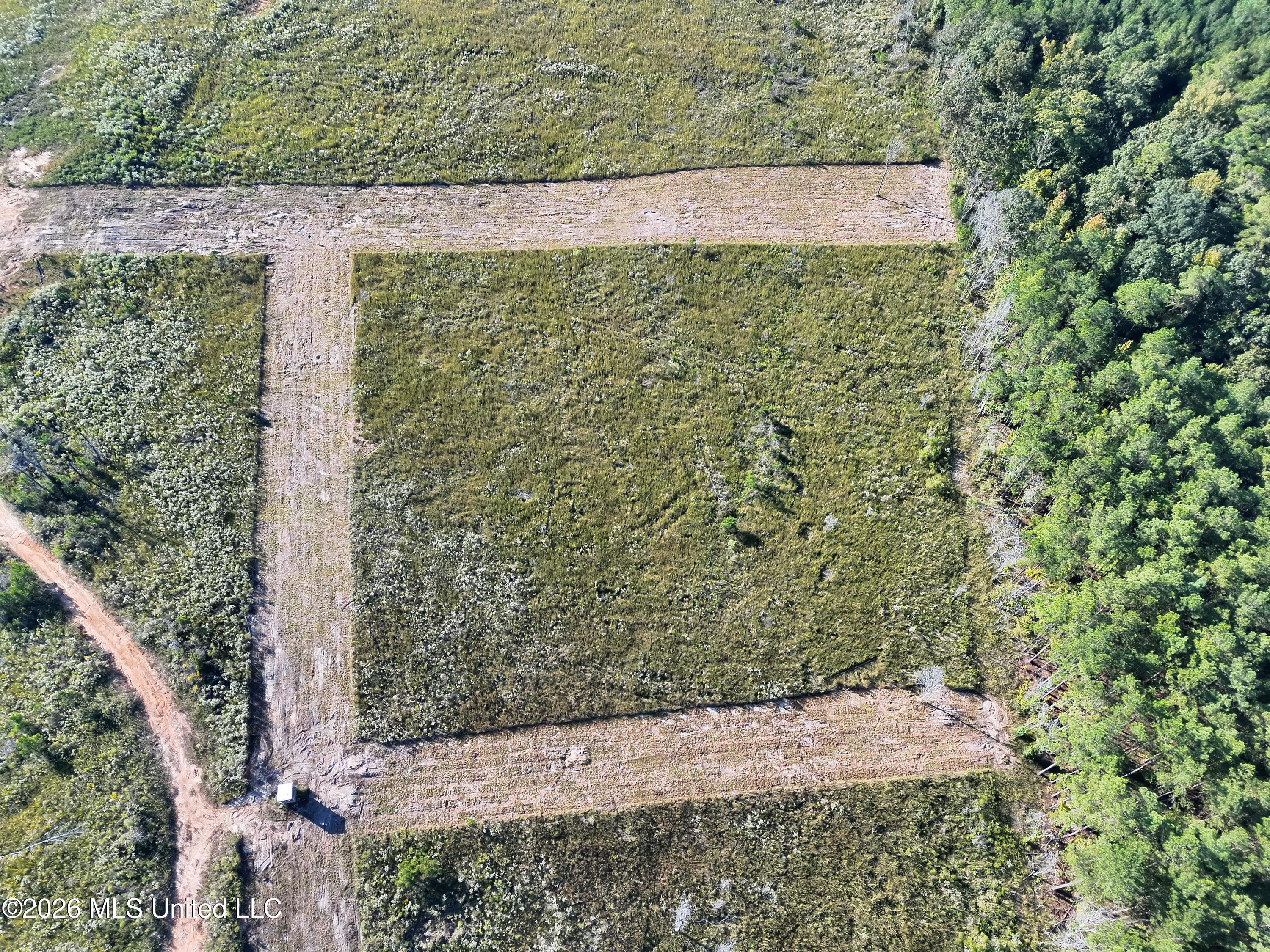 Bluff Springs Road Property Photo 4