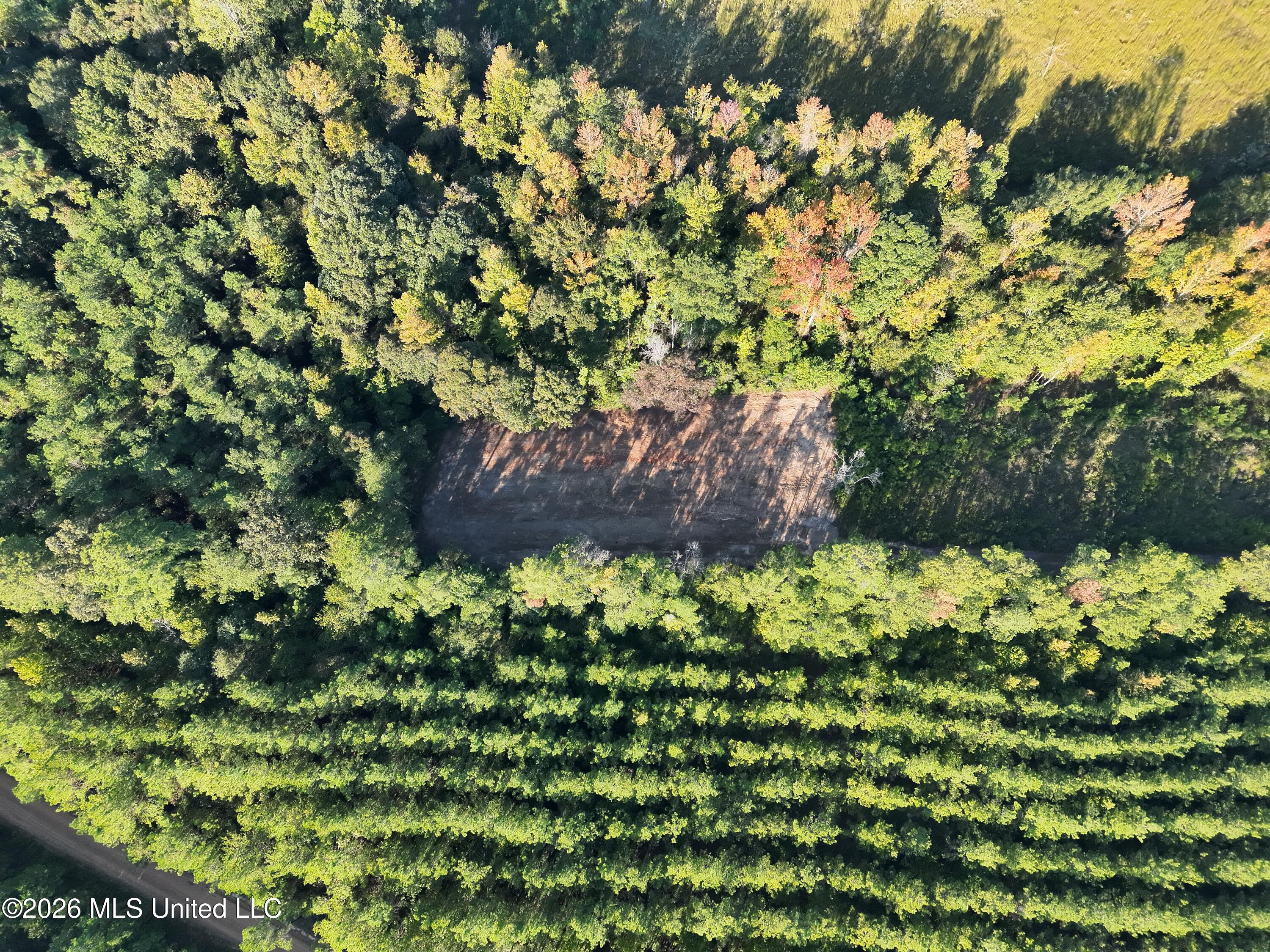 Bluff Springs Road Property Photo 5