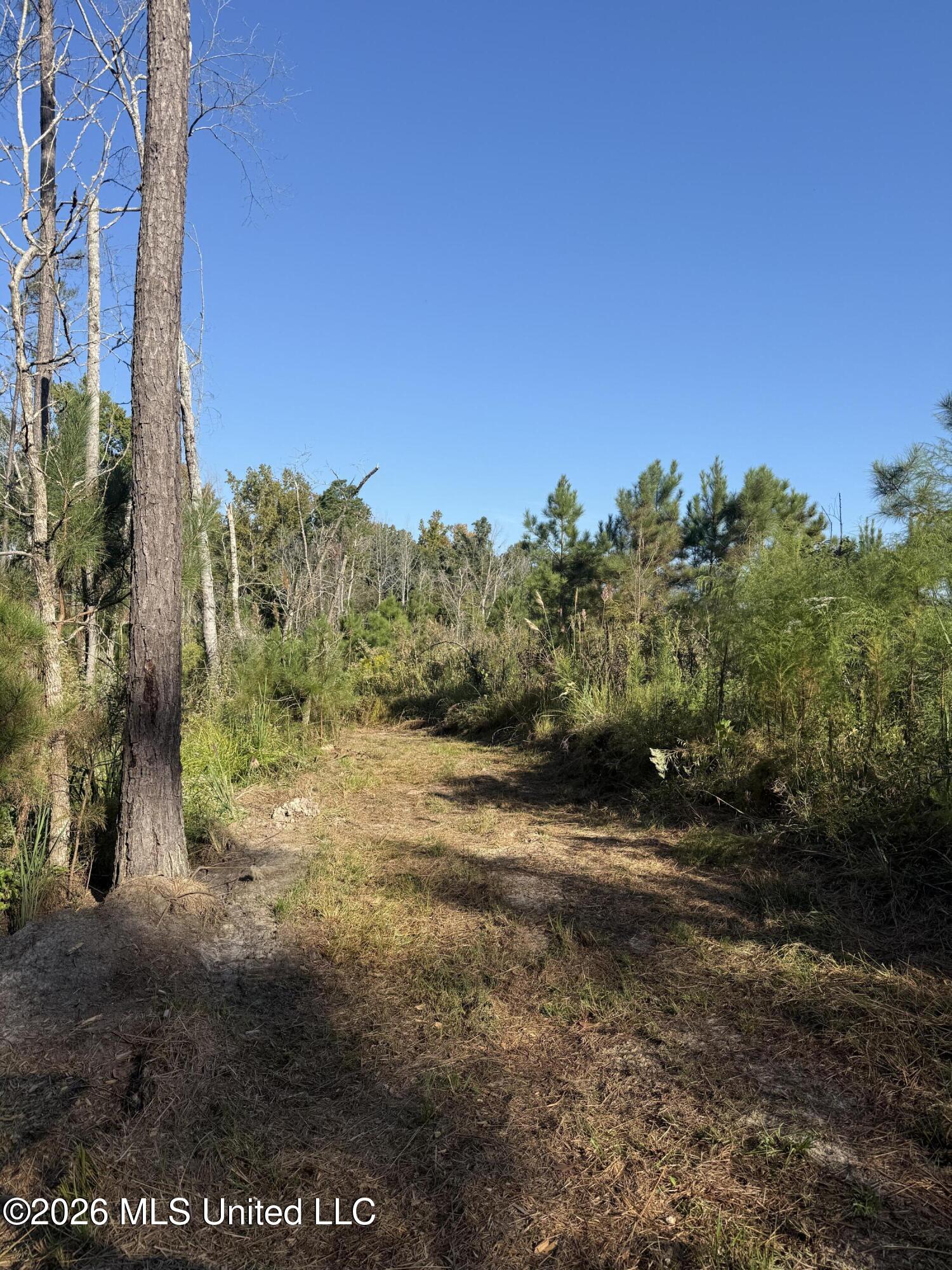 Bluff Springs Road Property Photo 6