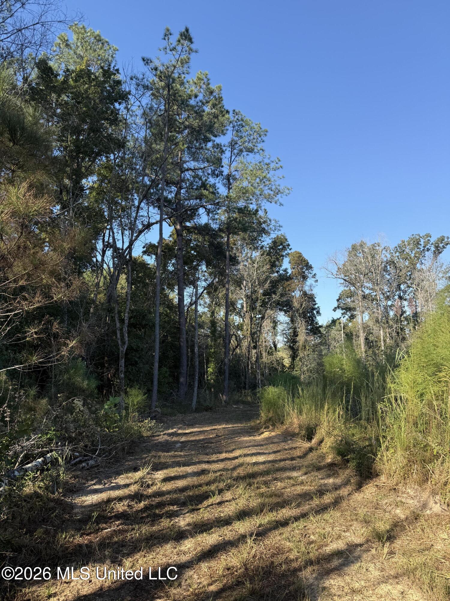 Bluff Springs Road Property Photo 9