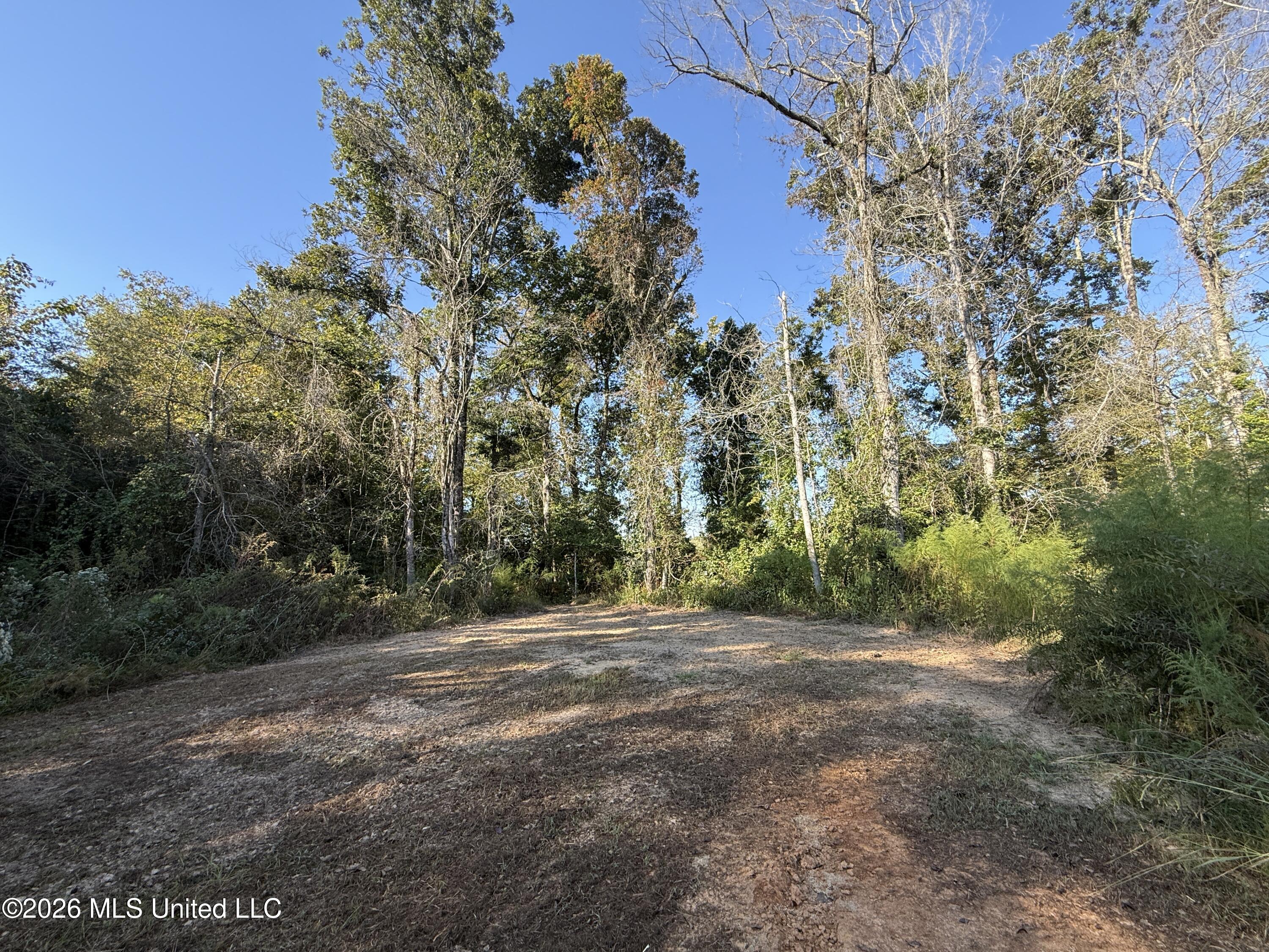 Bluff Springs Road Property Photo 10