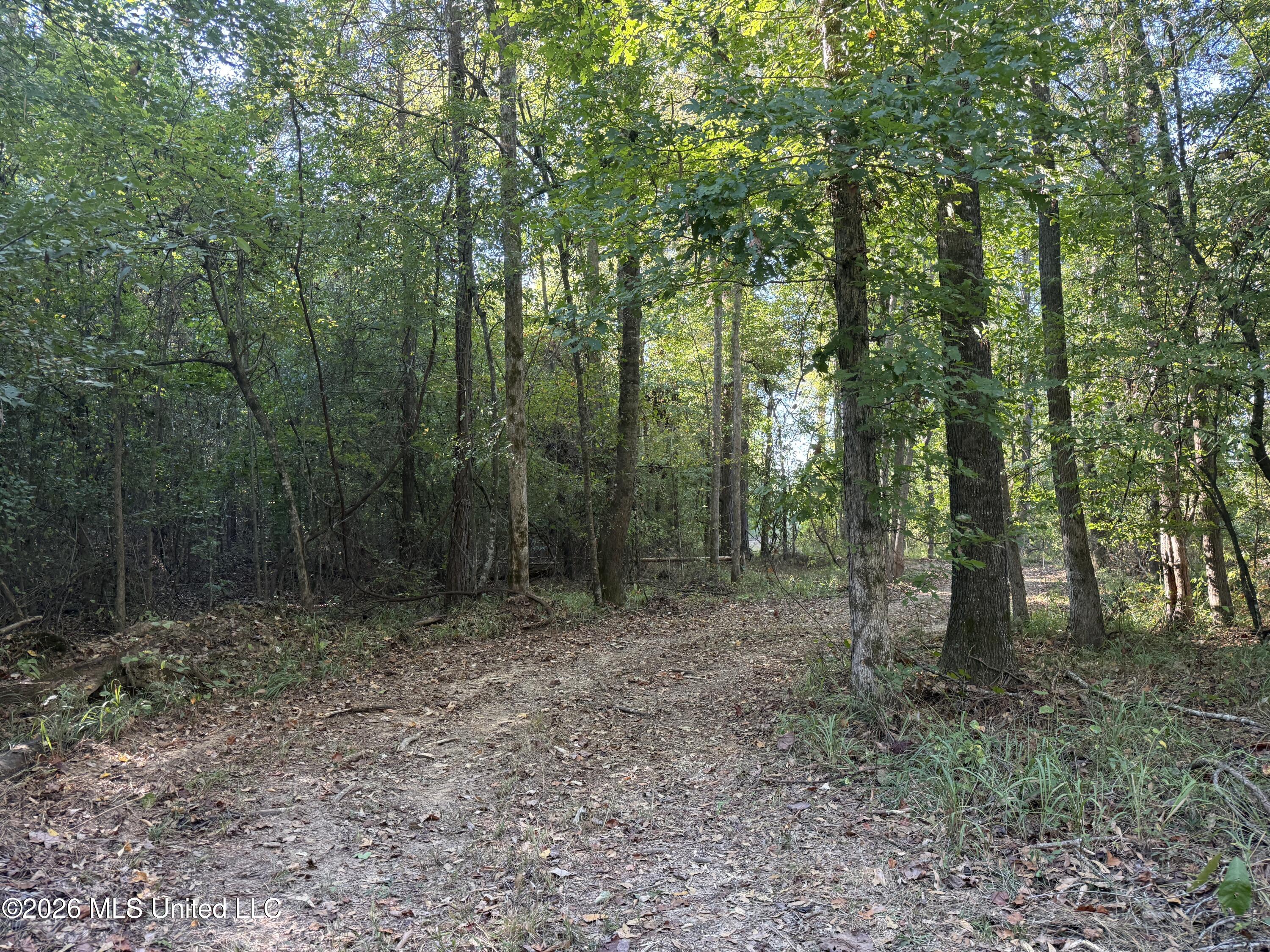 Bluff Springs Road Property Photo 12