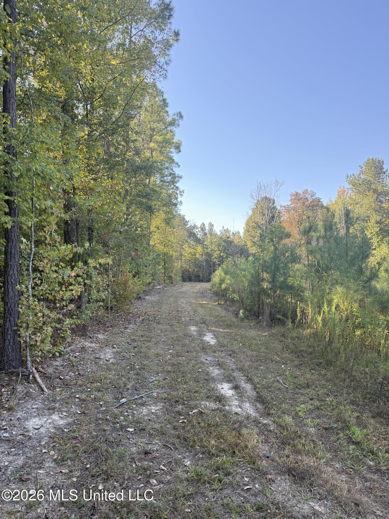 Bluff Springs Road Property Photo 13