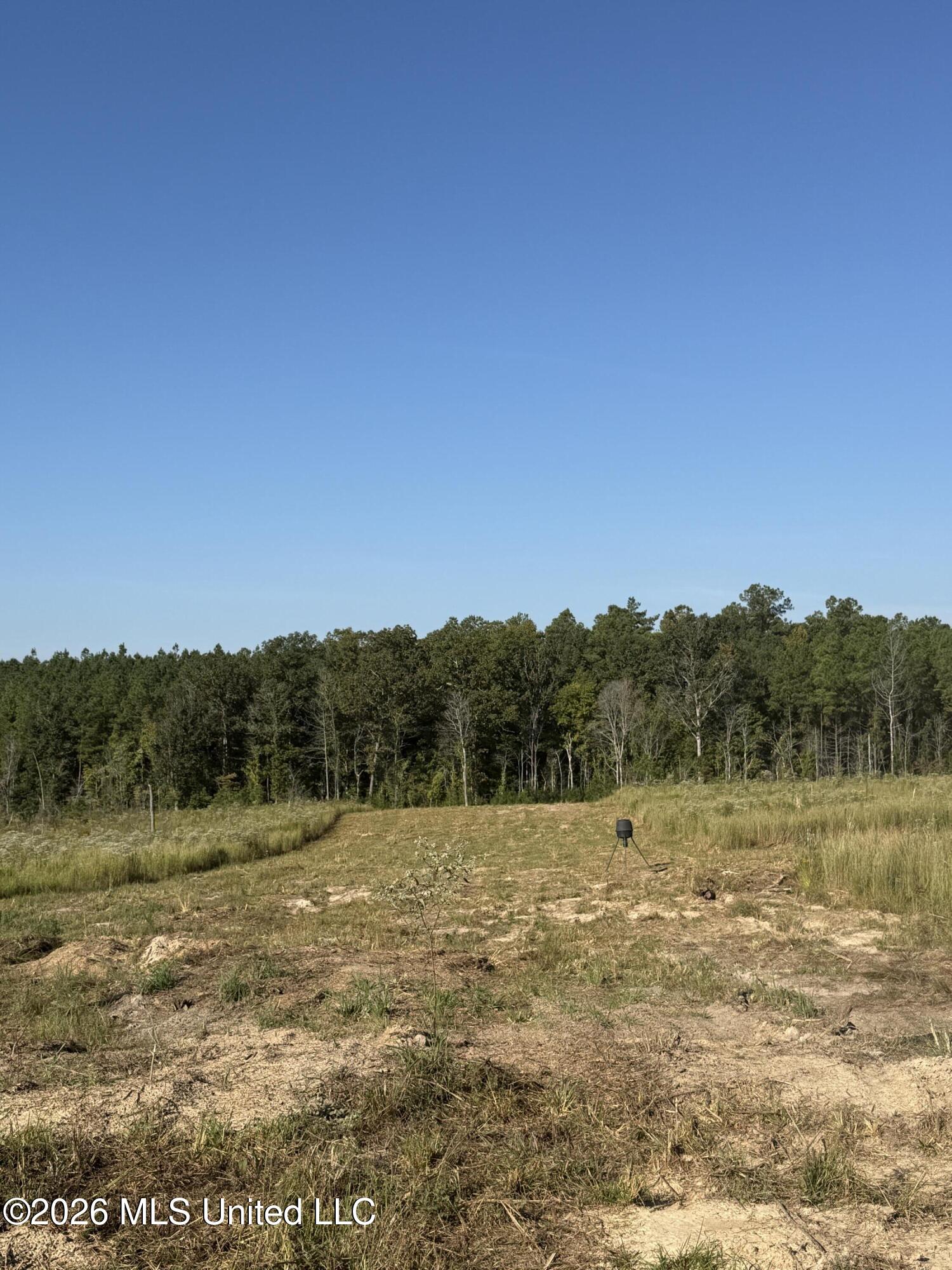 Bluff Springs Road Property Photo 14