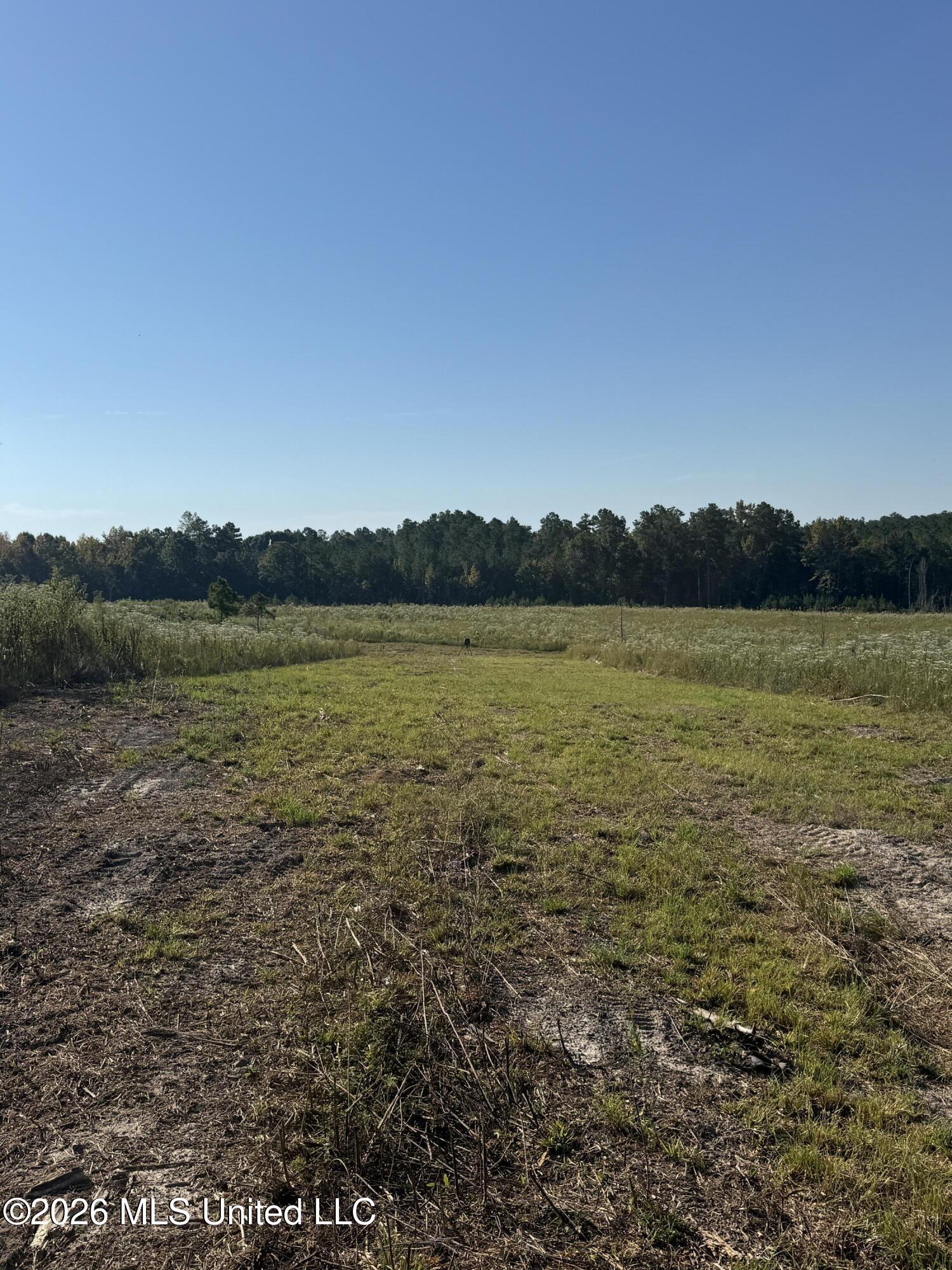 Bluff Springs Road Property Photo 16