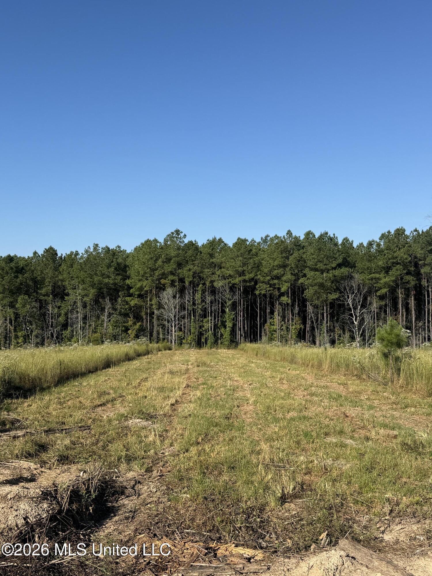 Bluff Springs Road Property Photo 17
