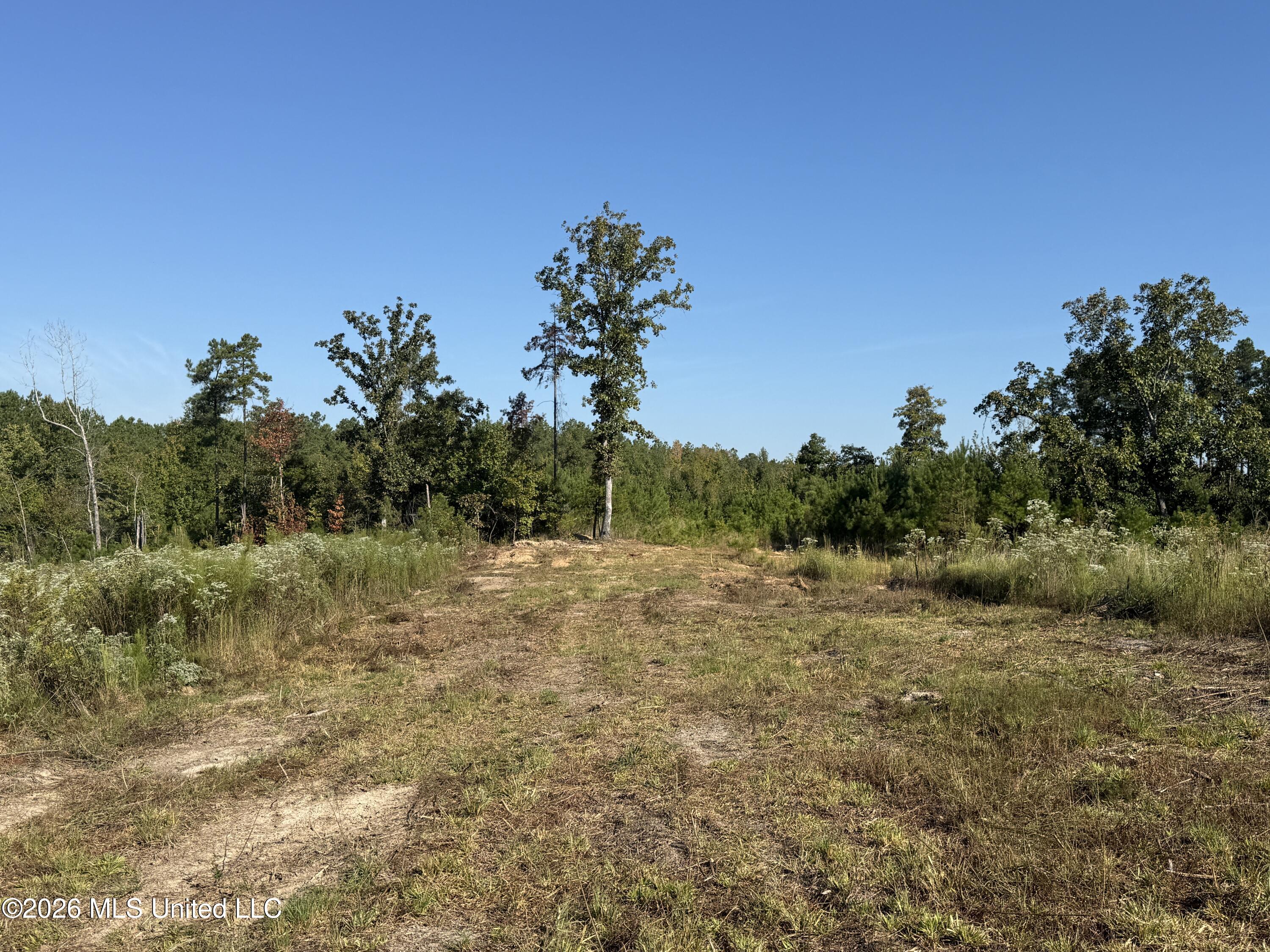 Bluff Springs Road Property Photo 18