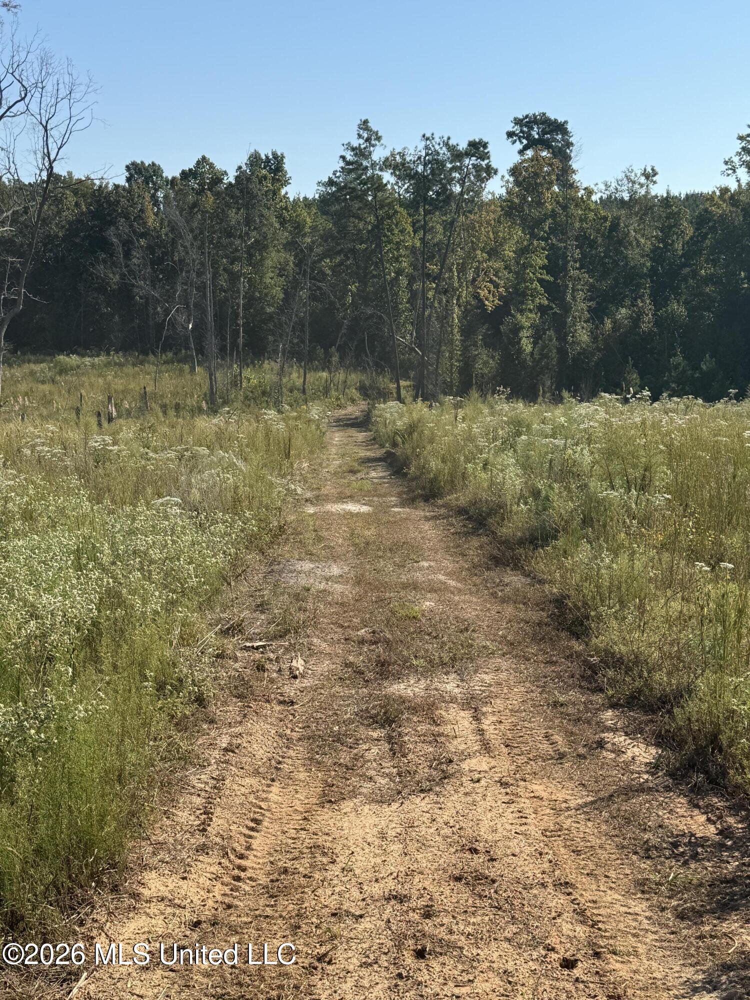 Bluff Springs Road Property Photo 19