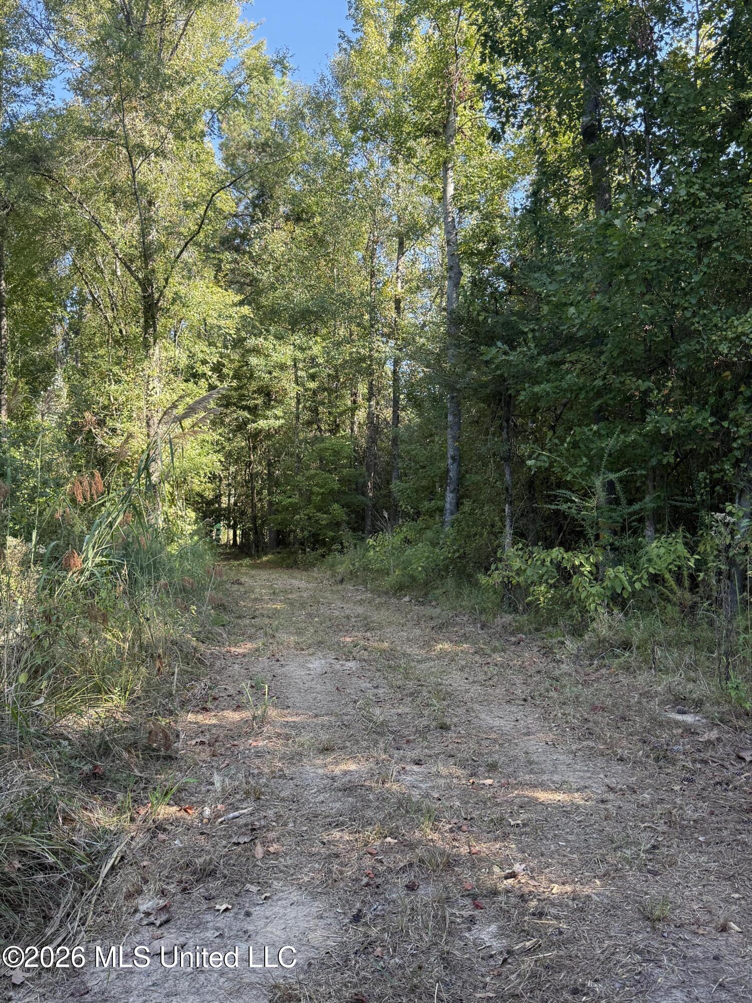 Bluff Springs Road Property Photo 21