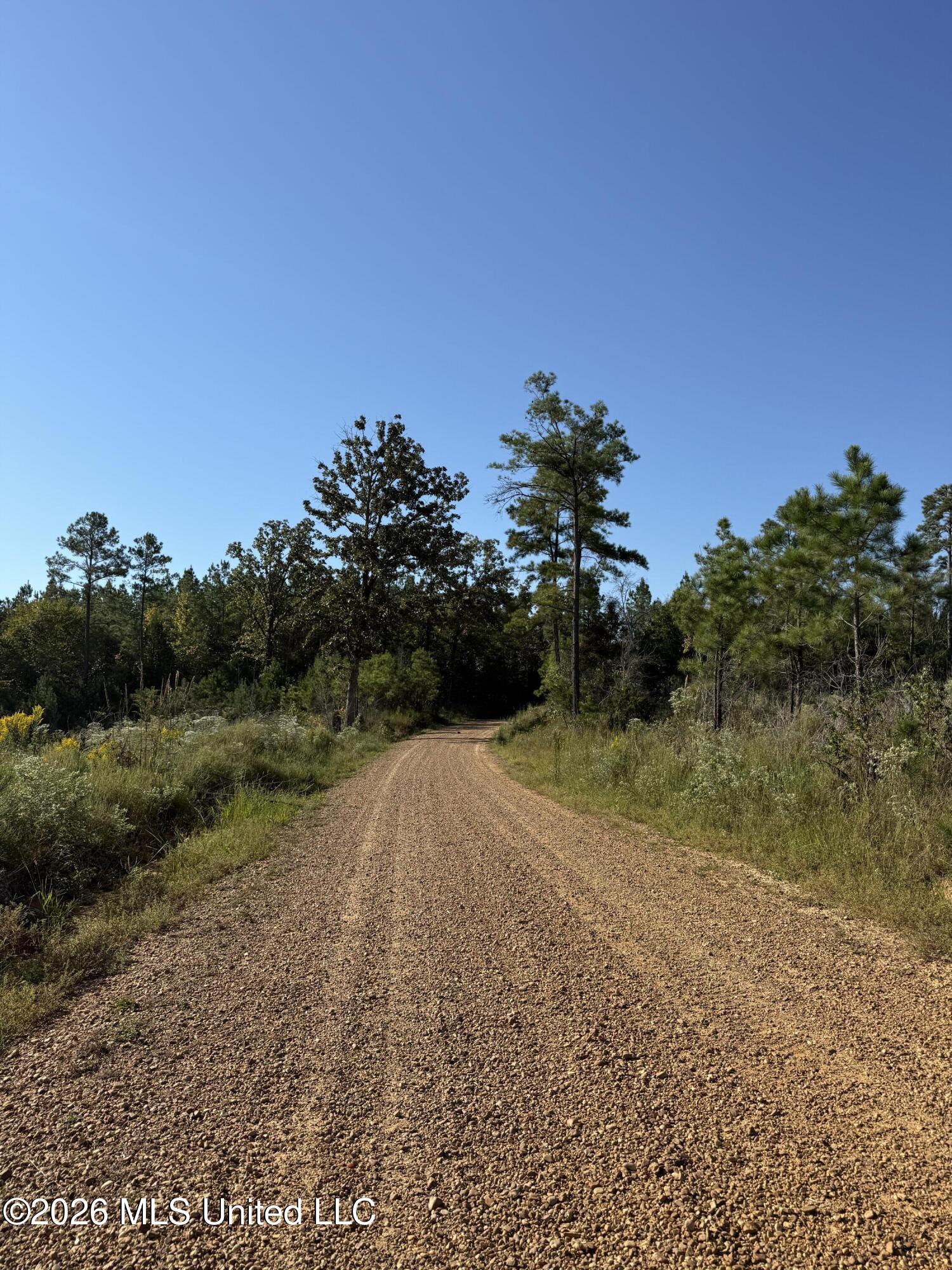 Bluff Springs Road Property Photo 25