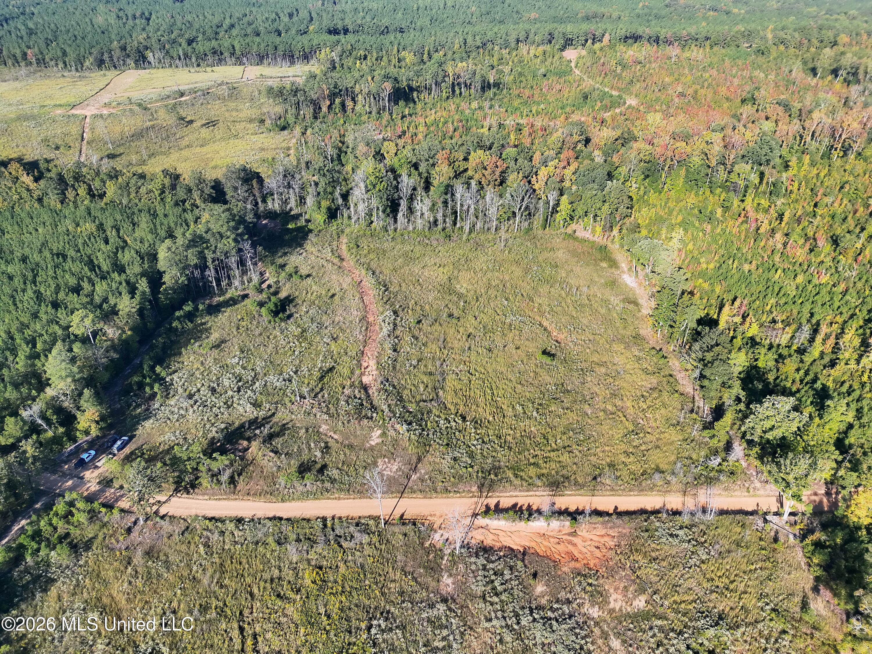 Bluff Springs Road Property Photo 26