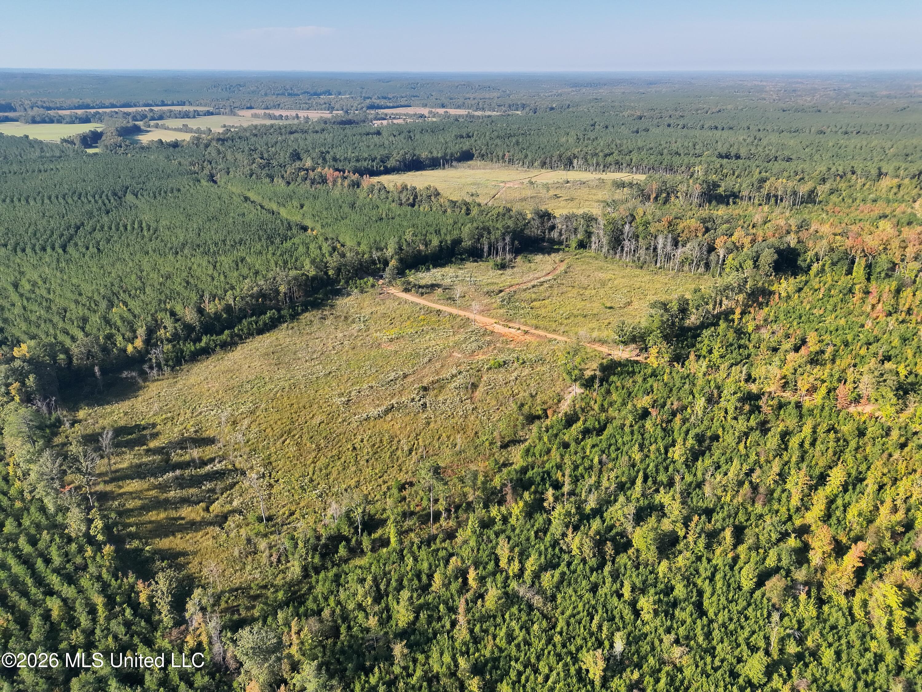 Bluff Springs Road Property Photo 27