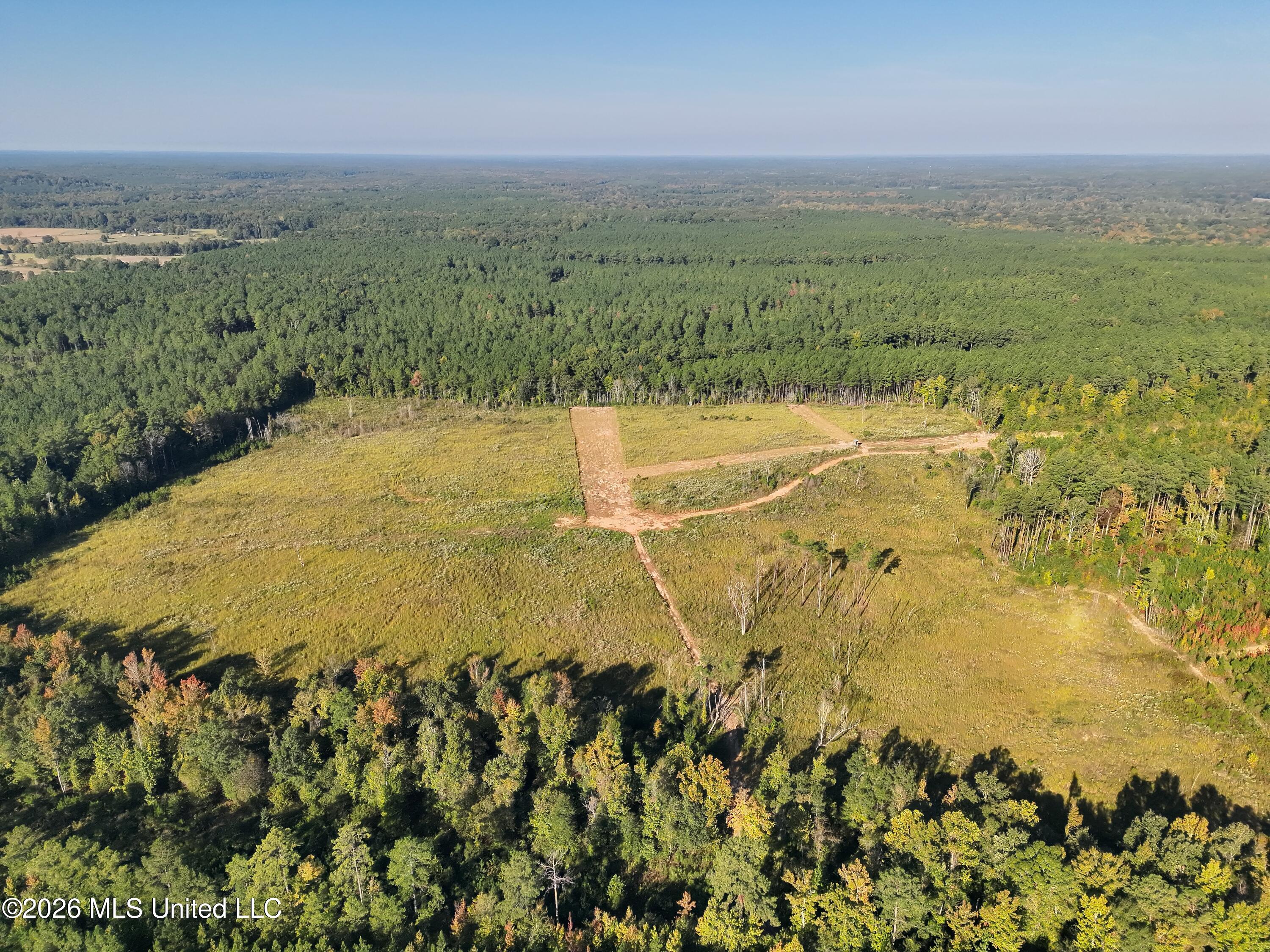 Bluff Springs Road Property Photo 29