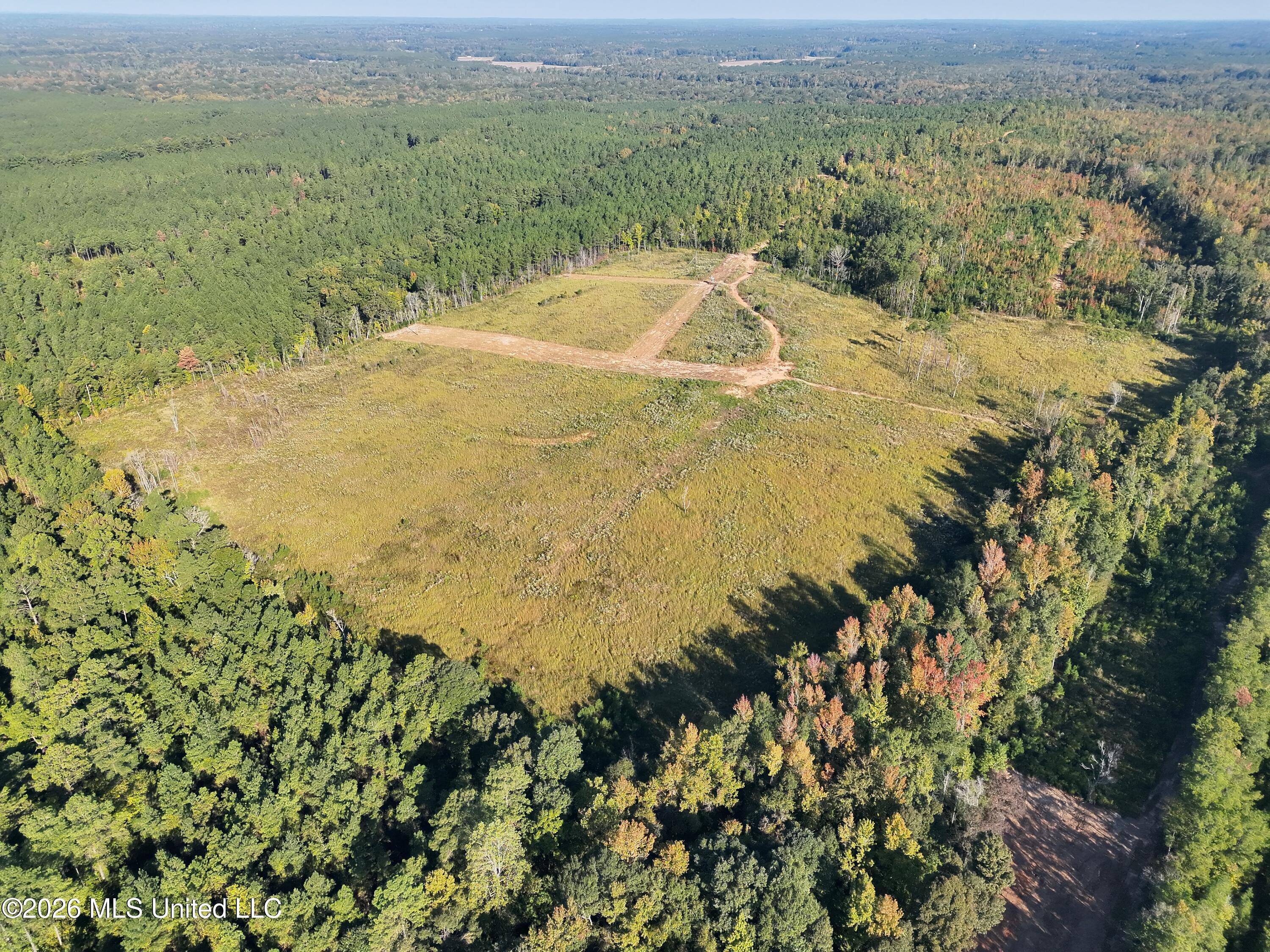 Bluff Springs Road Property Photo 30