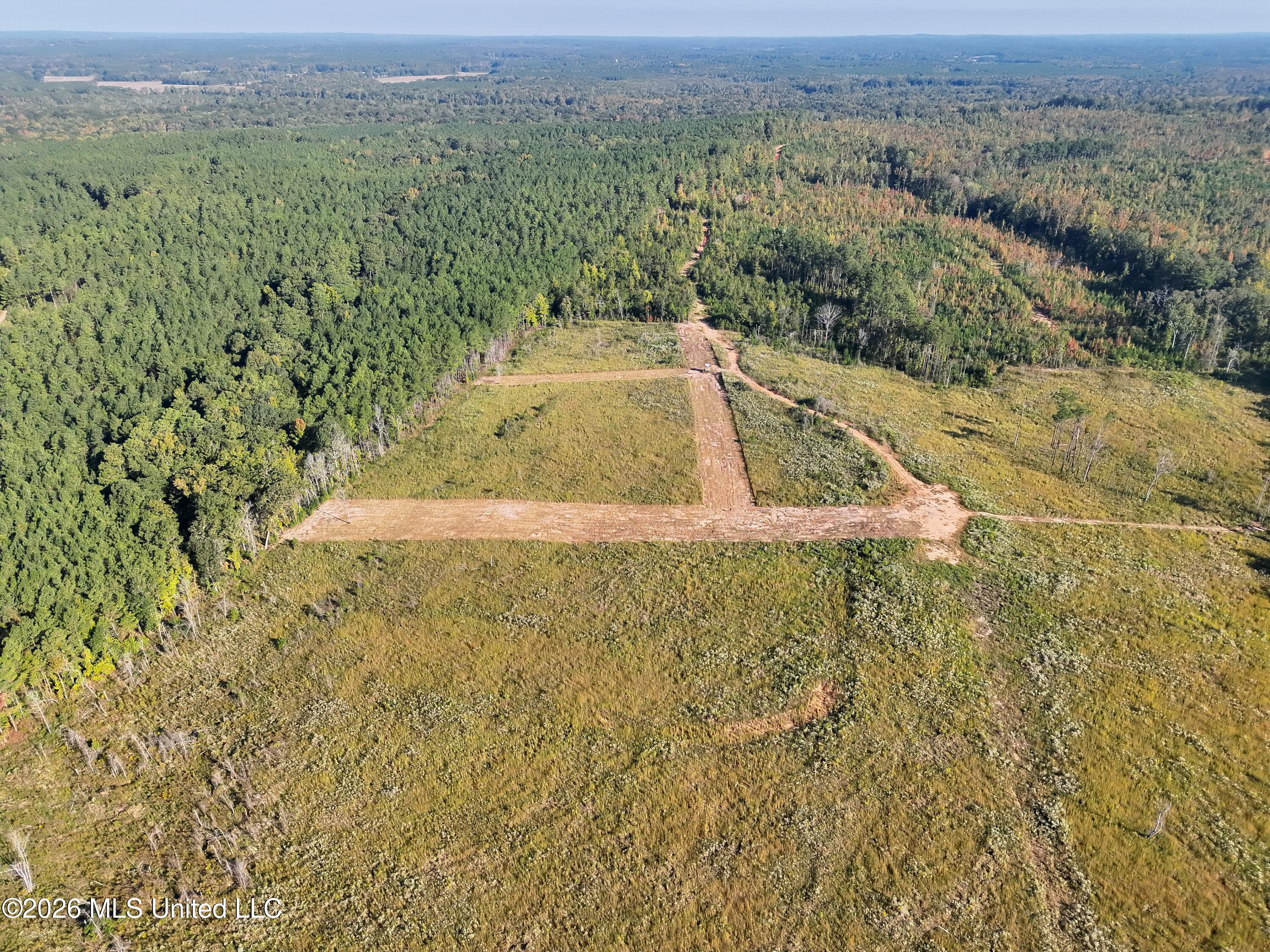 Bluff Springs Road Property Photo 31