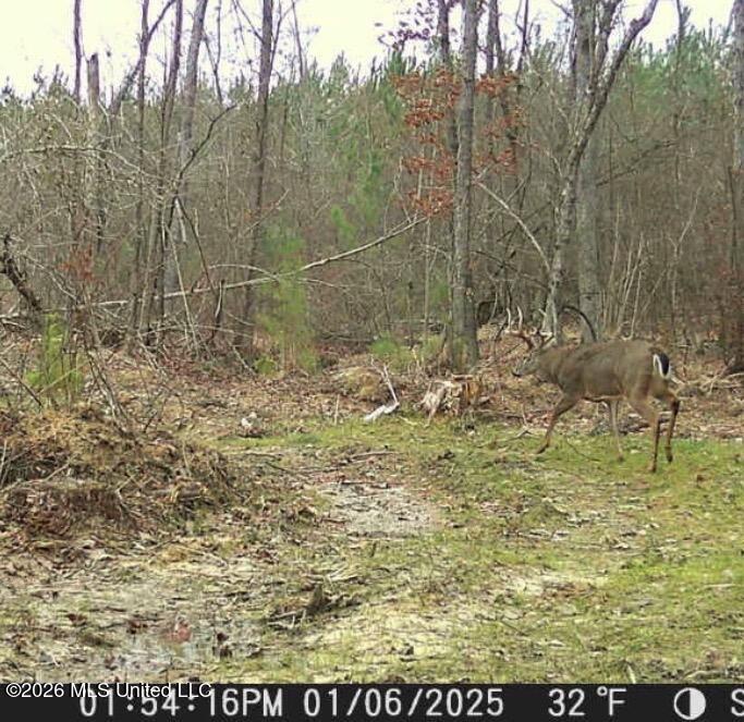 Bluff Springs Road Property Photo 48
